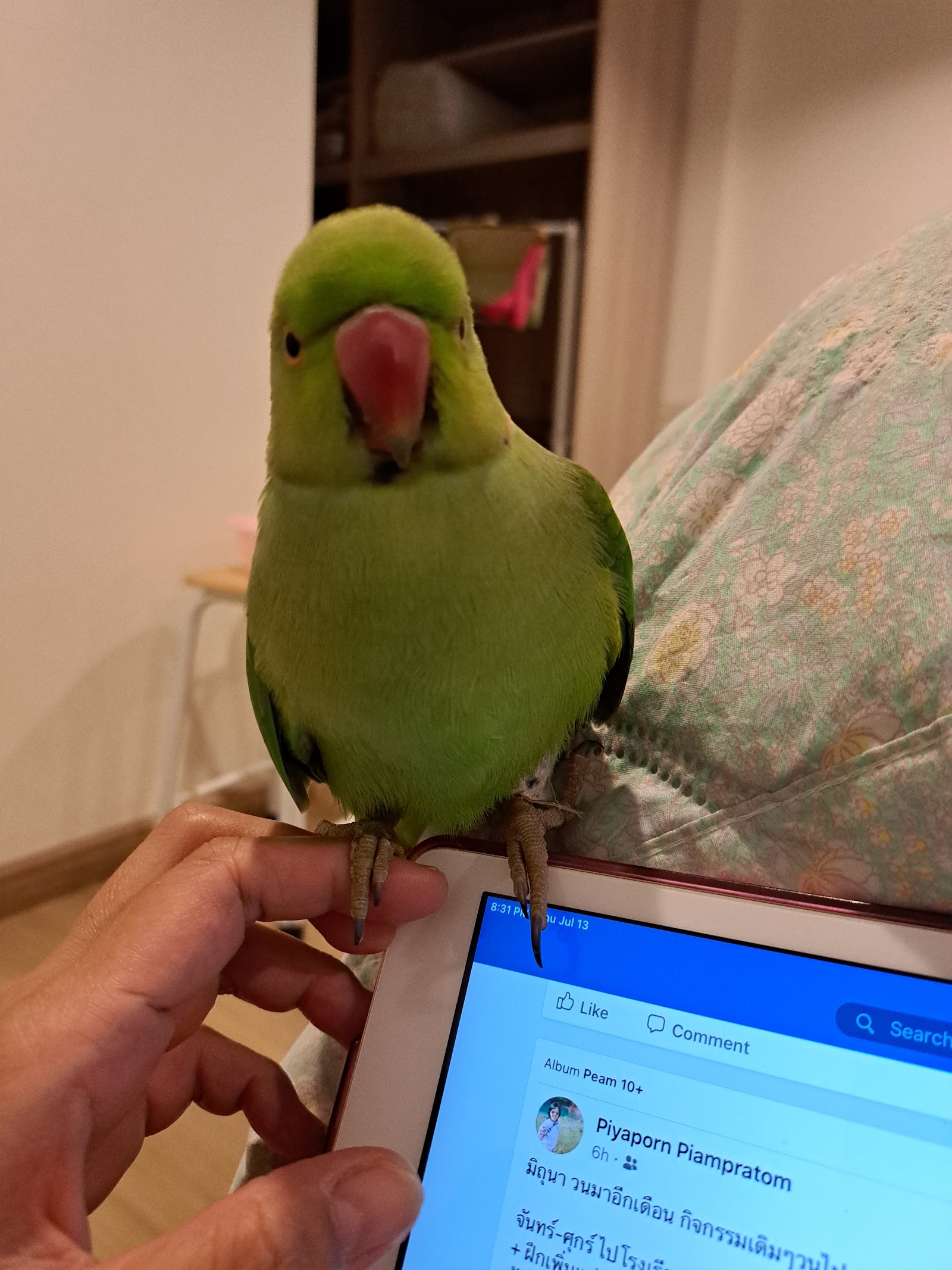 Smart Care Veterinarian