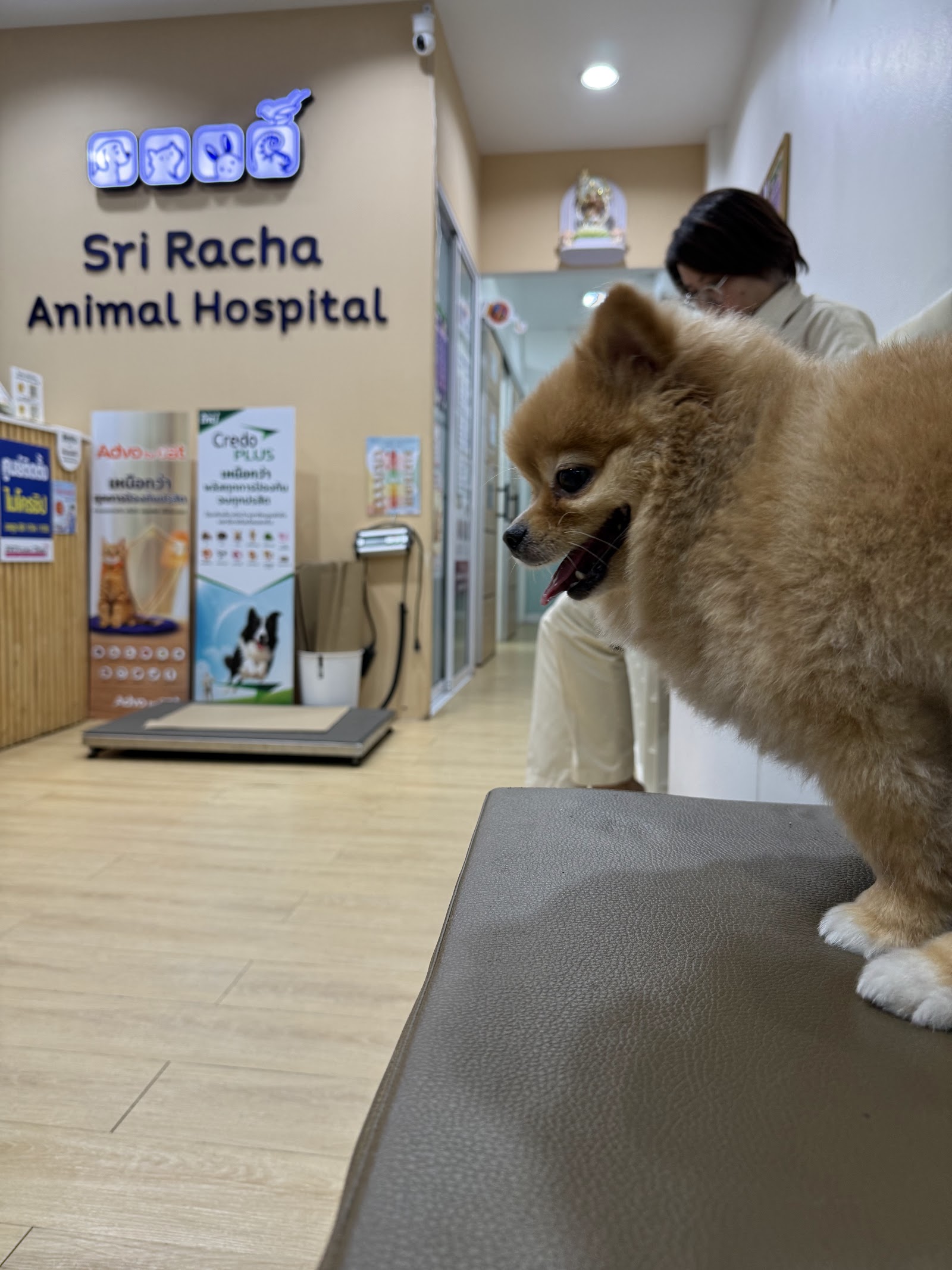Sri - Racha Animal Hospital