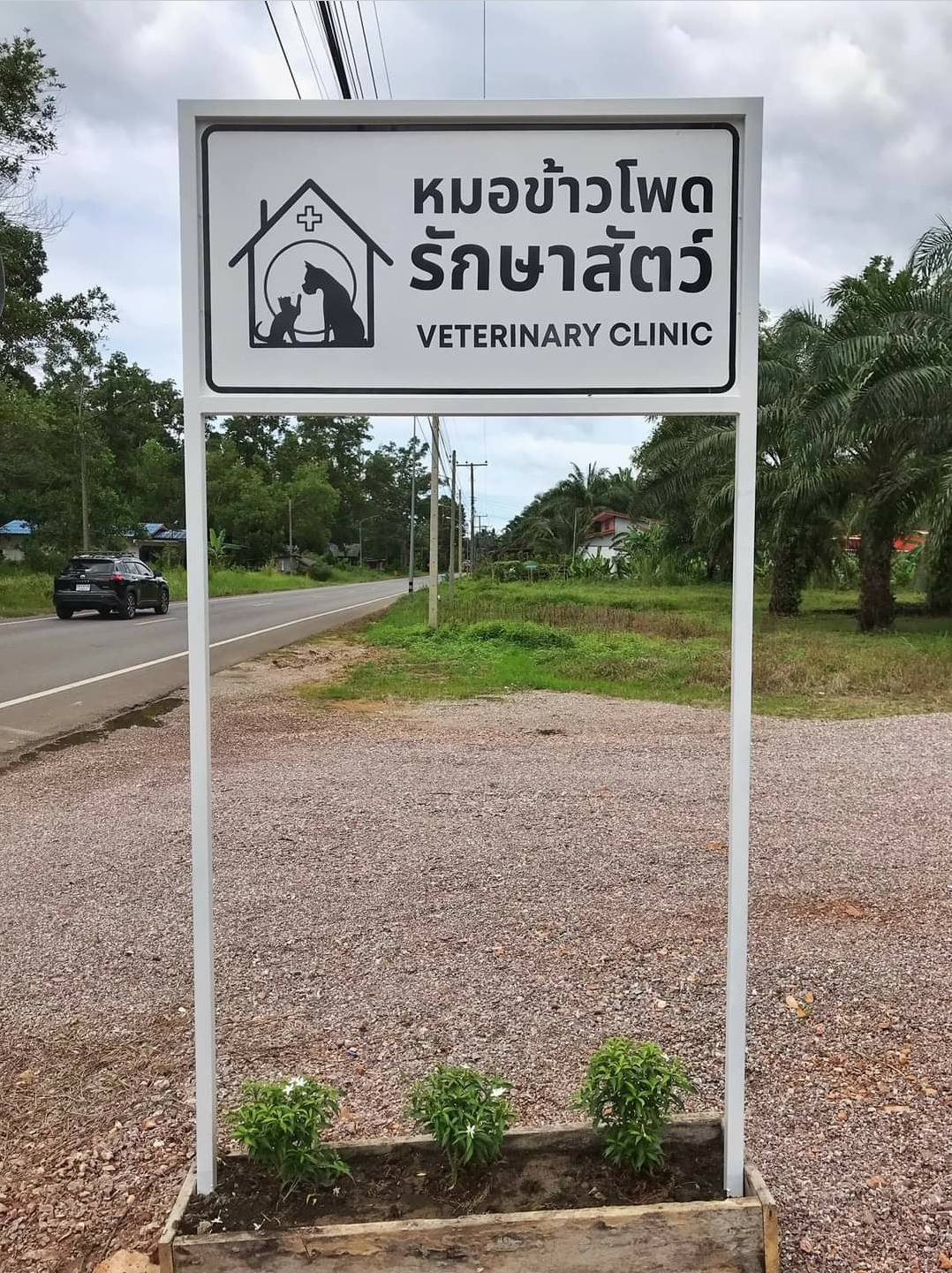 Corn Doctor Clinic