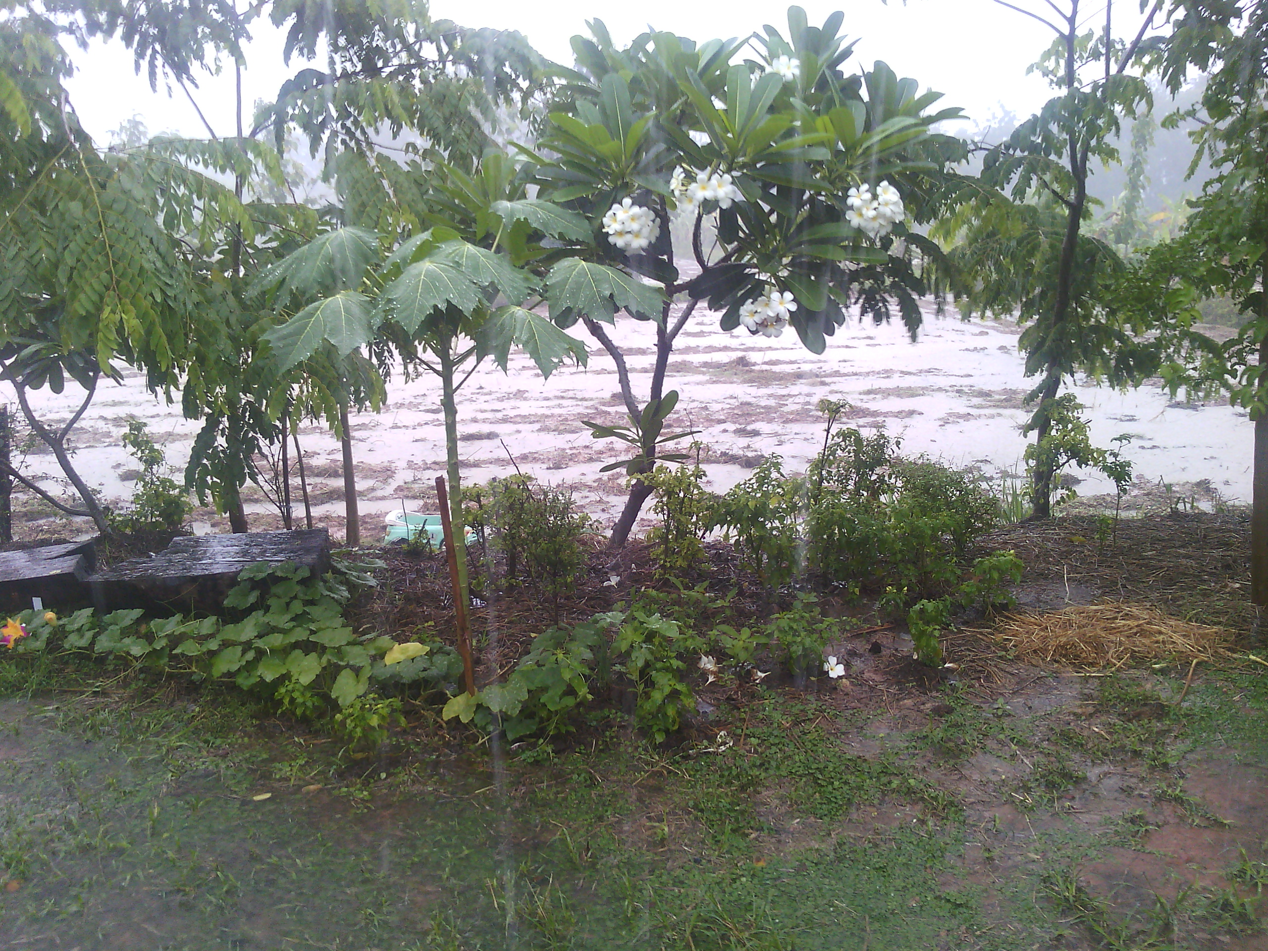 Ruan Dok Kaew Resort