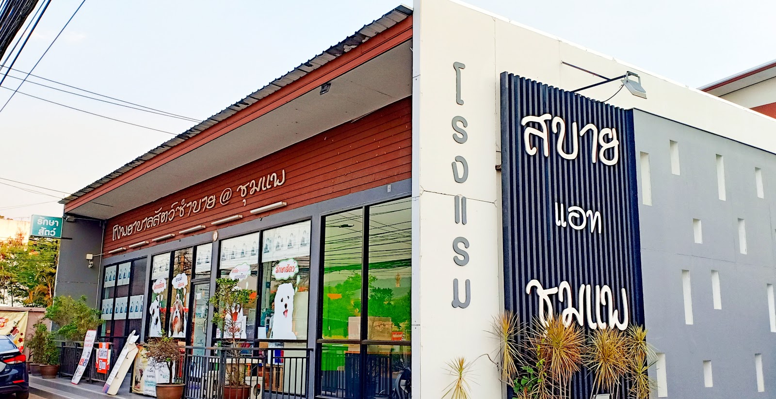 Sumbai at Chumphae Animal hospital