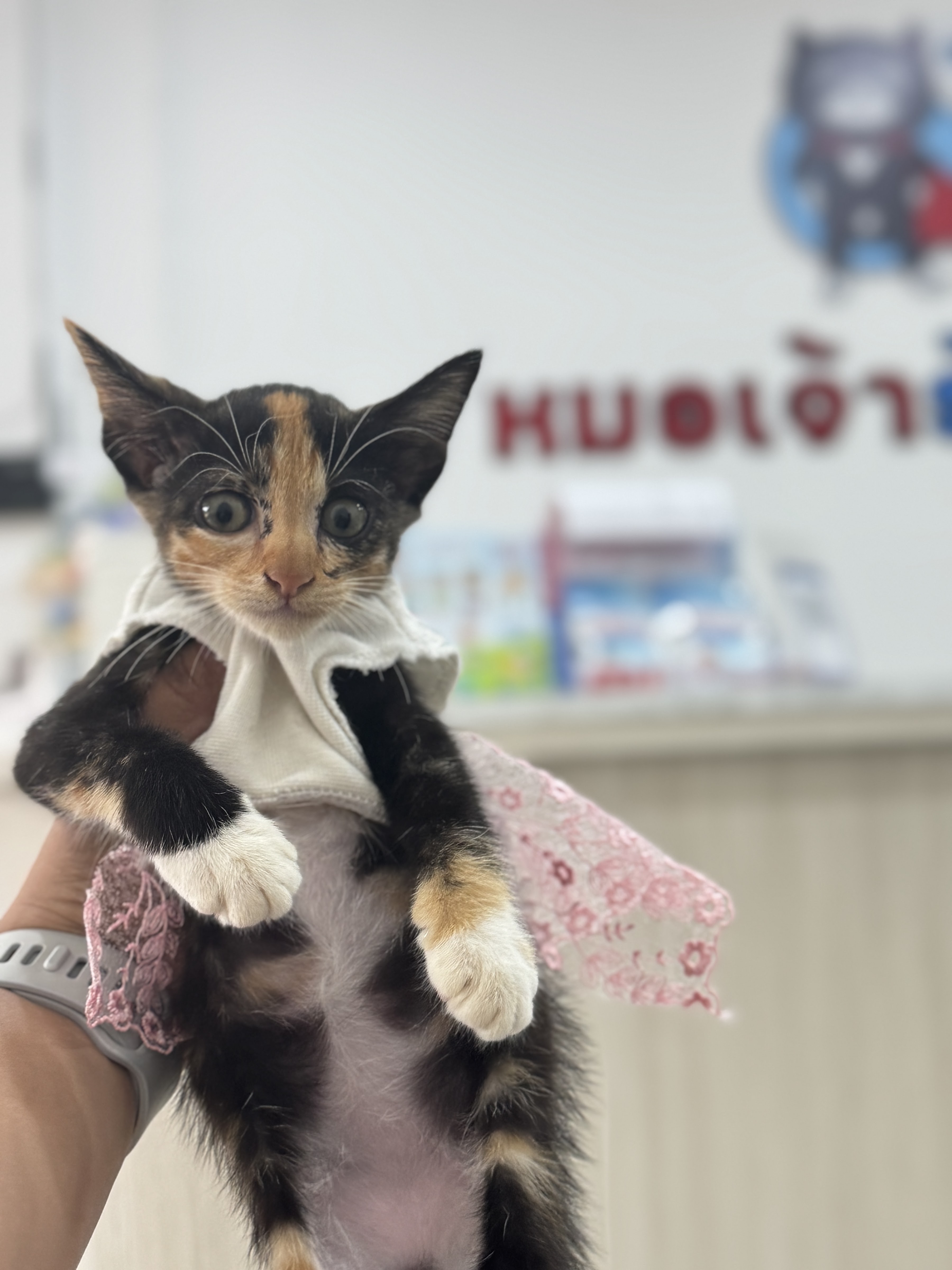 Animal Protection Clinic