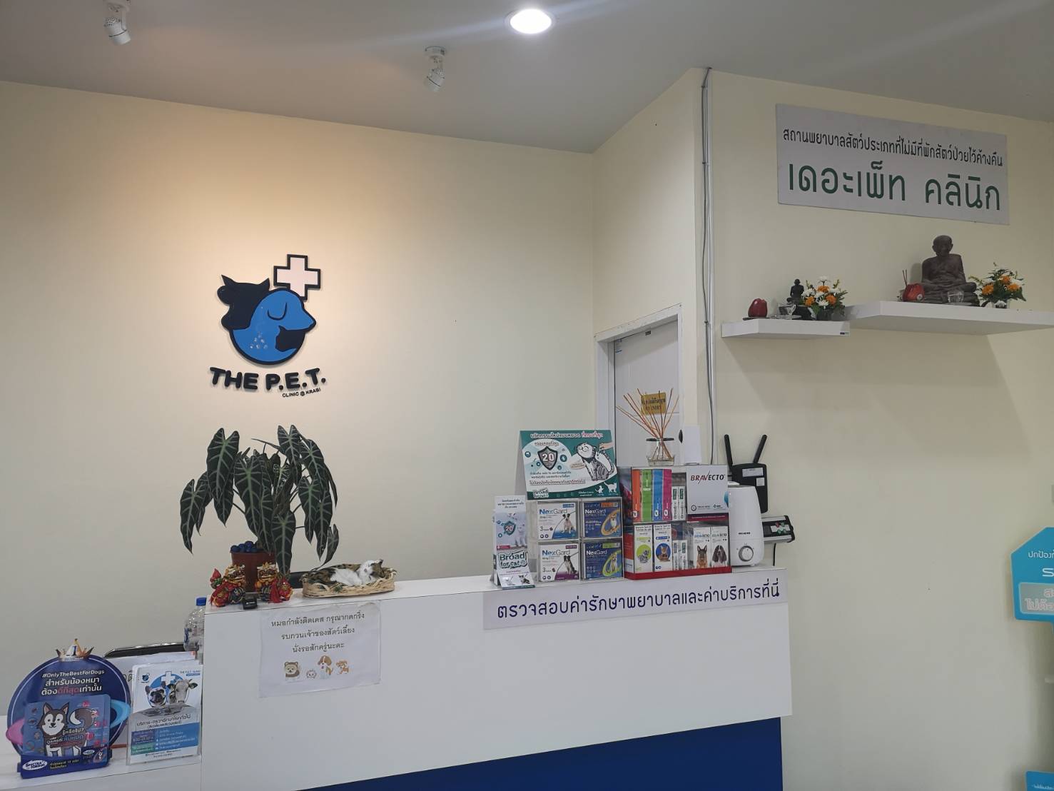 The Pet Clinic Animal Treatment