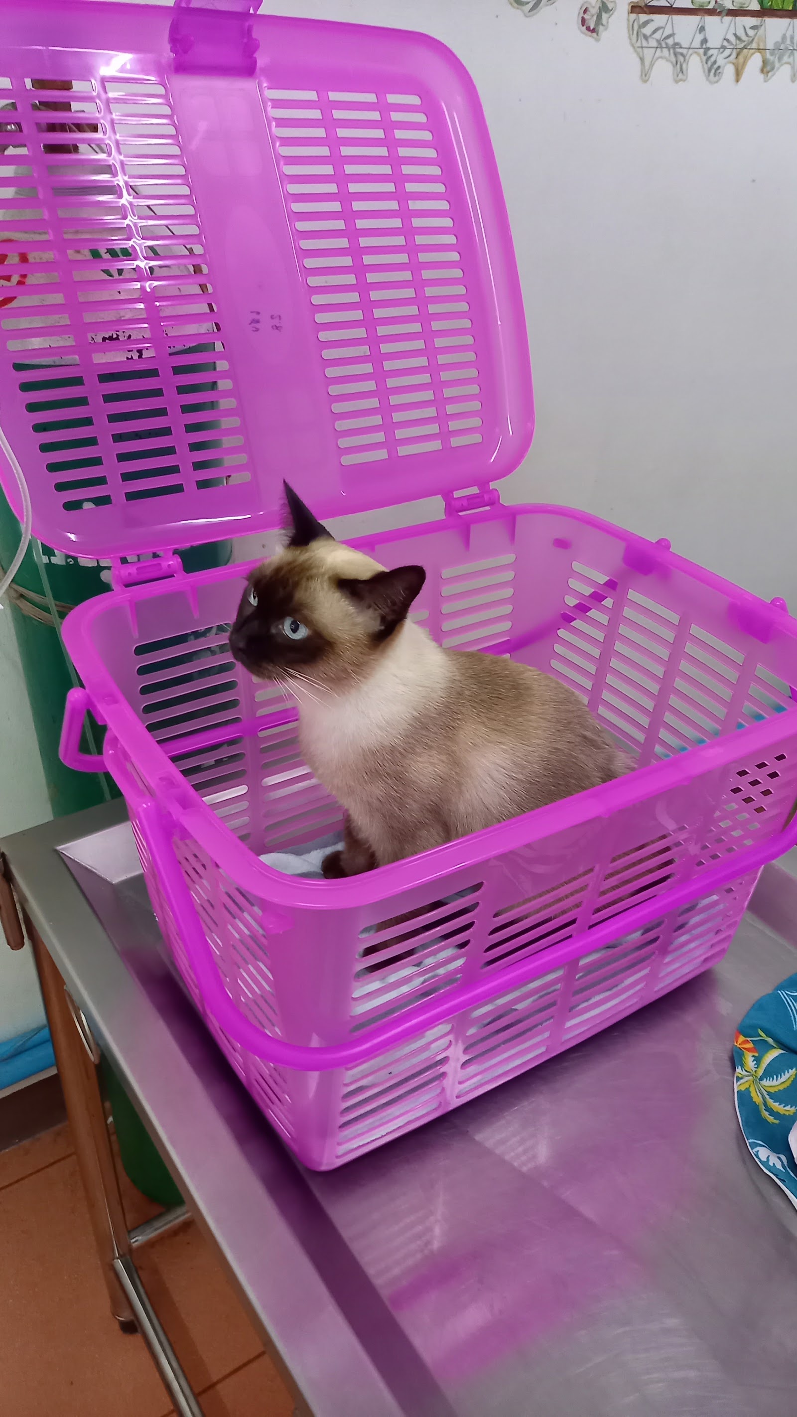 Sompoch Animal Clinic