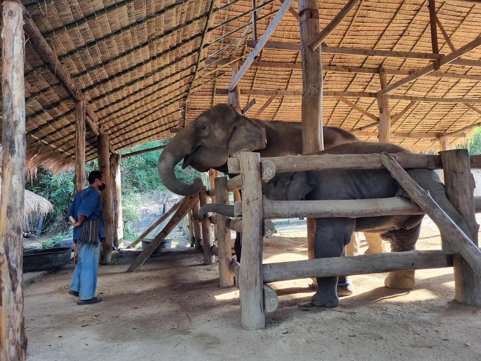 FAE's Elephant Hospital