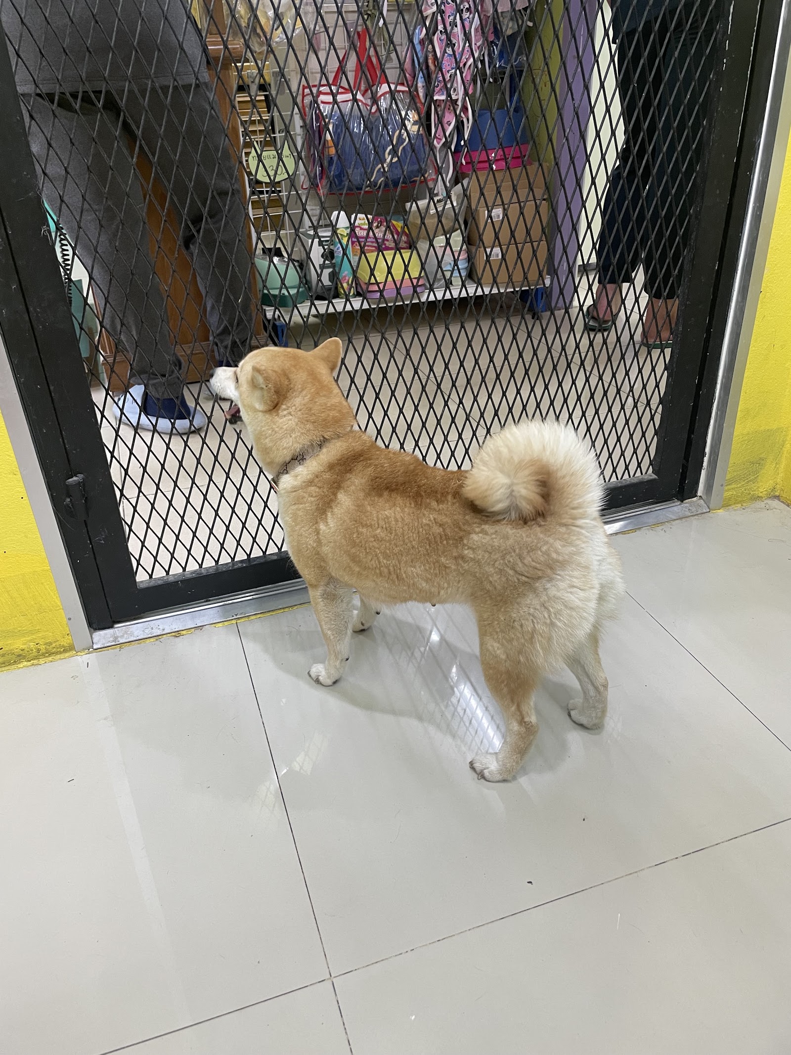 SABAIJAI ANIMAL HOSPITAL