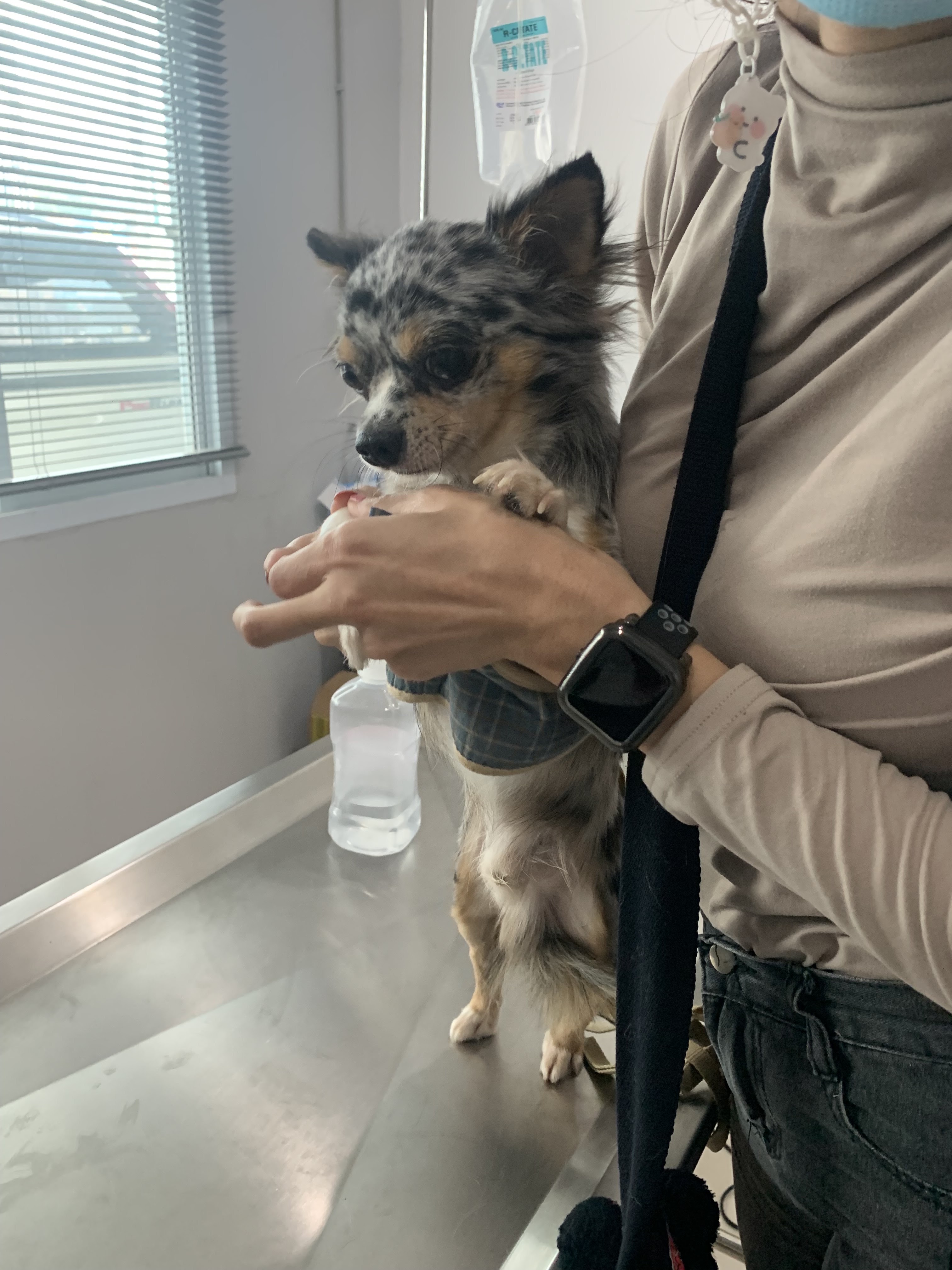 97 Pet Store And Clinic