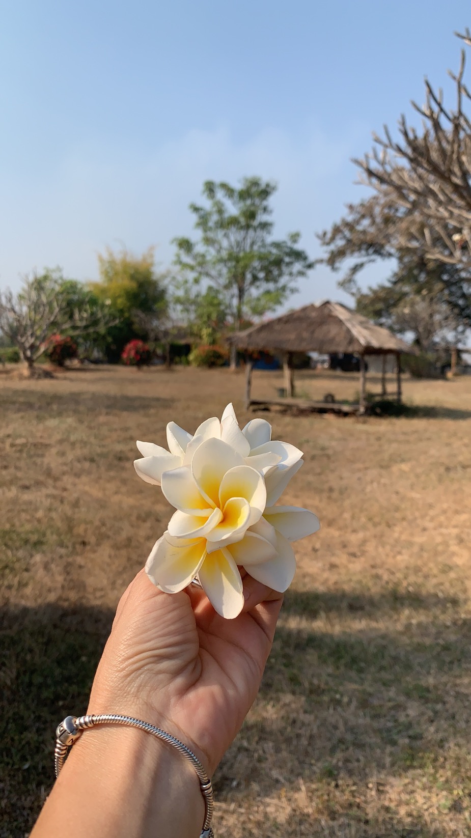 Baannern Khao View Pai Resort