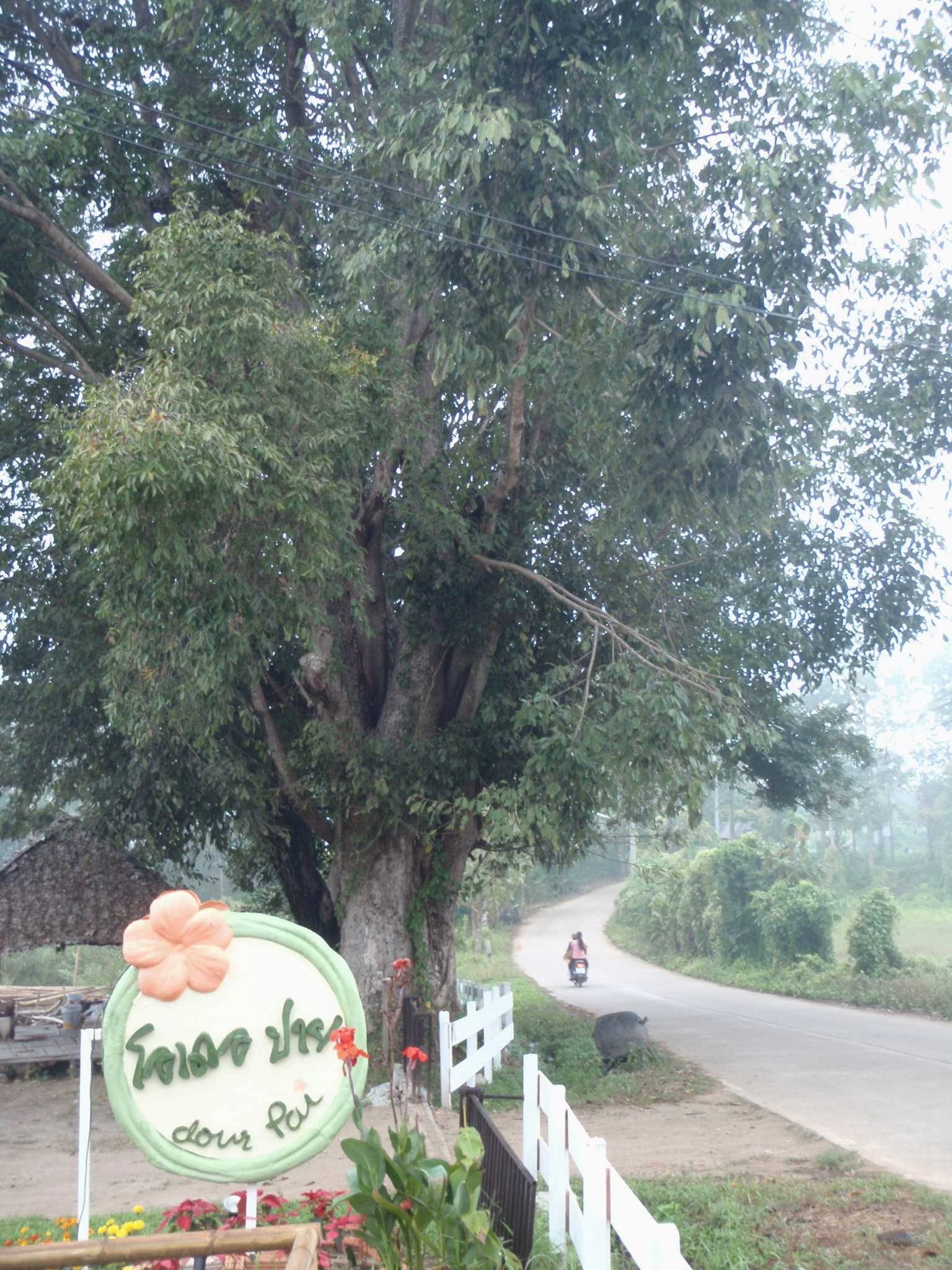 Odourpai