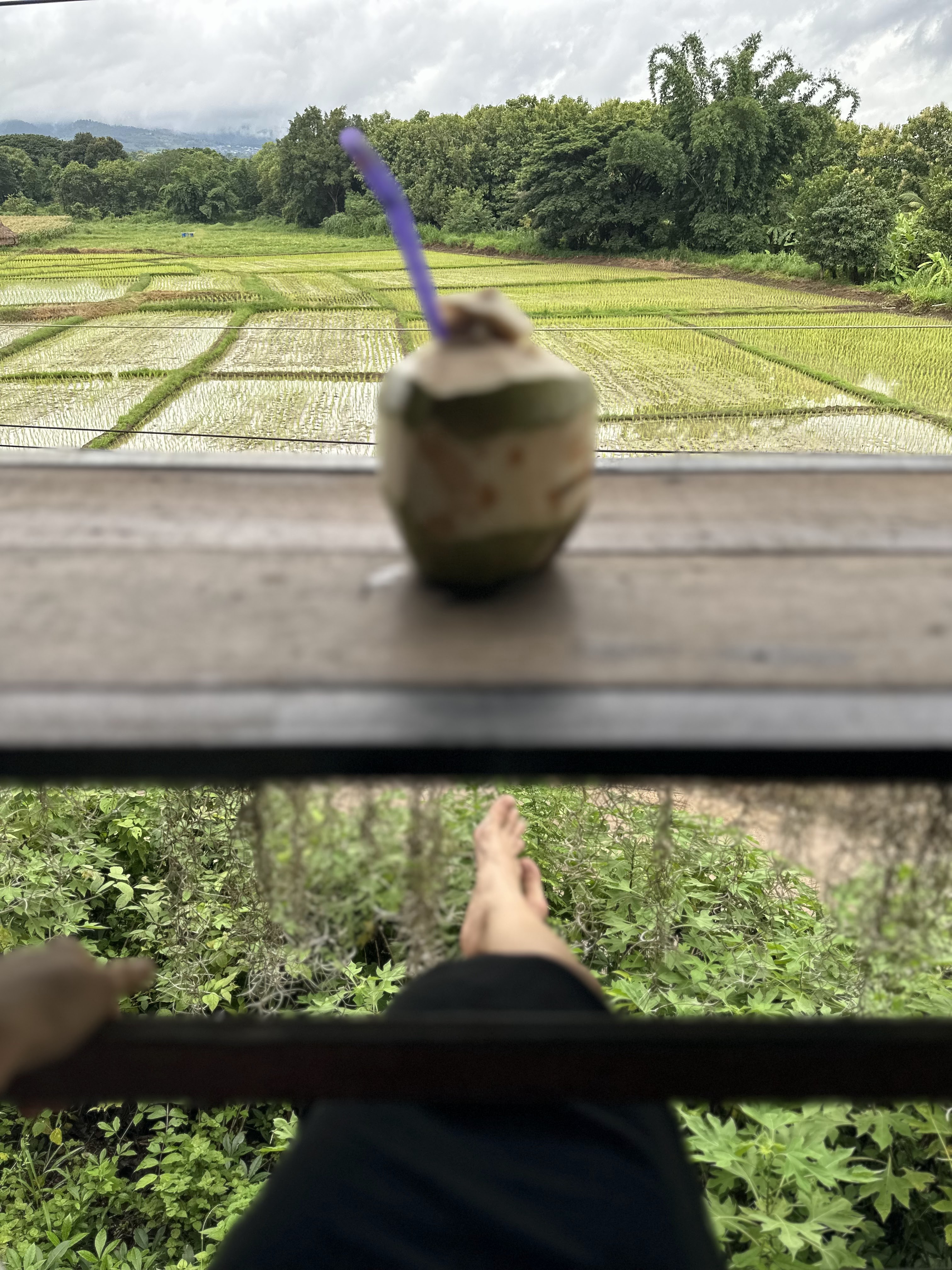 Suan Pra - Inn