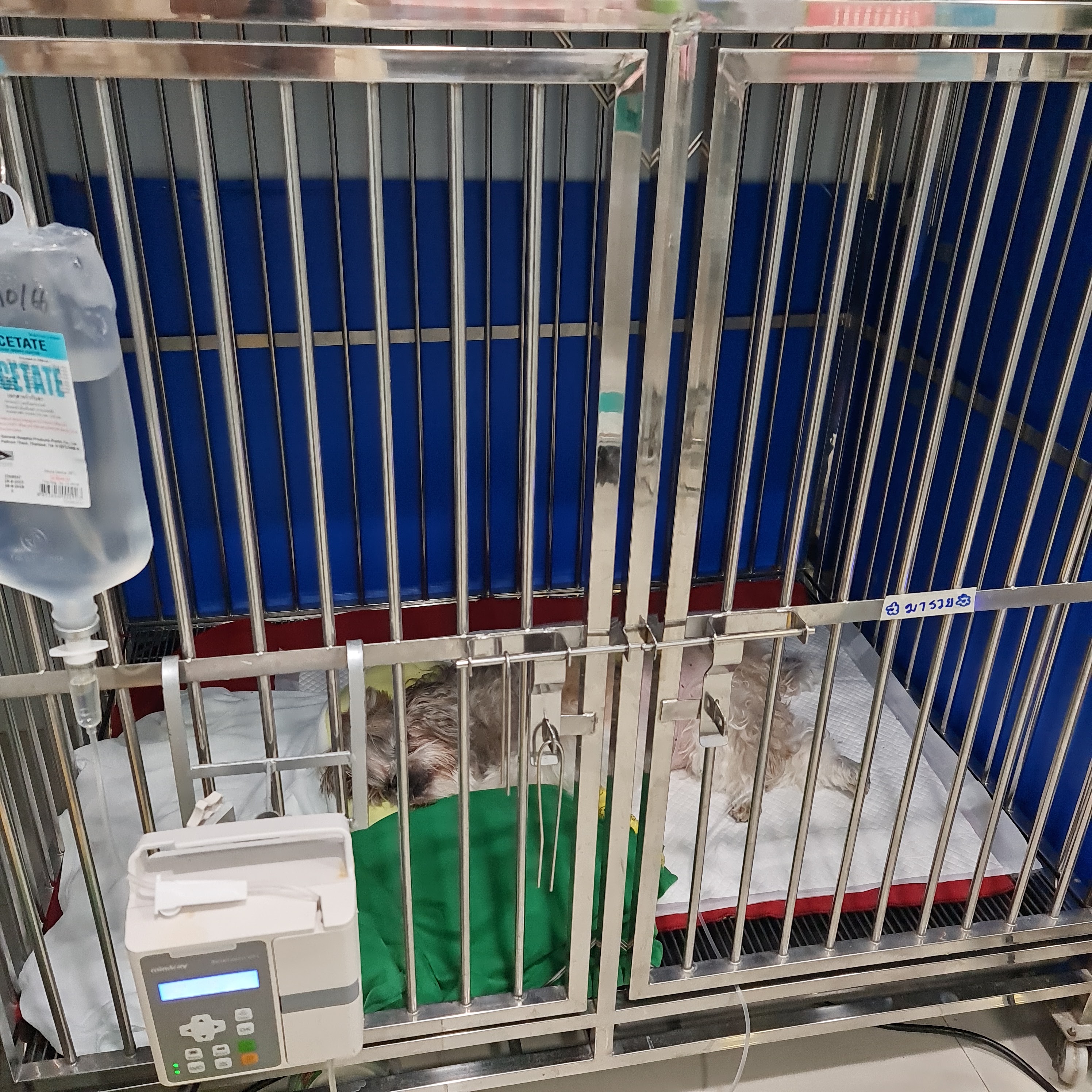 Meghan Animal Hospital
