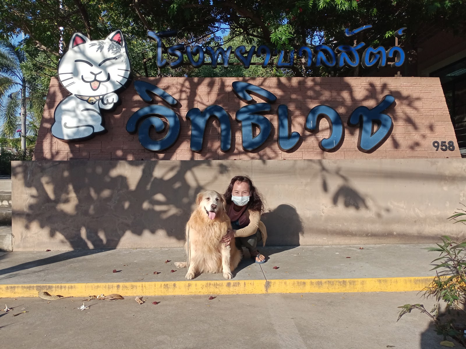 Ittivech Animal Hospital (Ban Ko Branch)