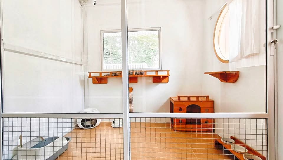 Korat Cat Hotel