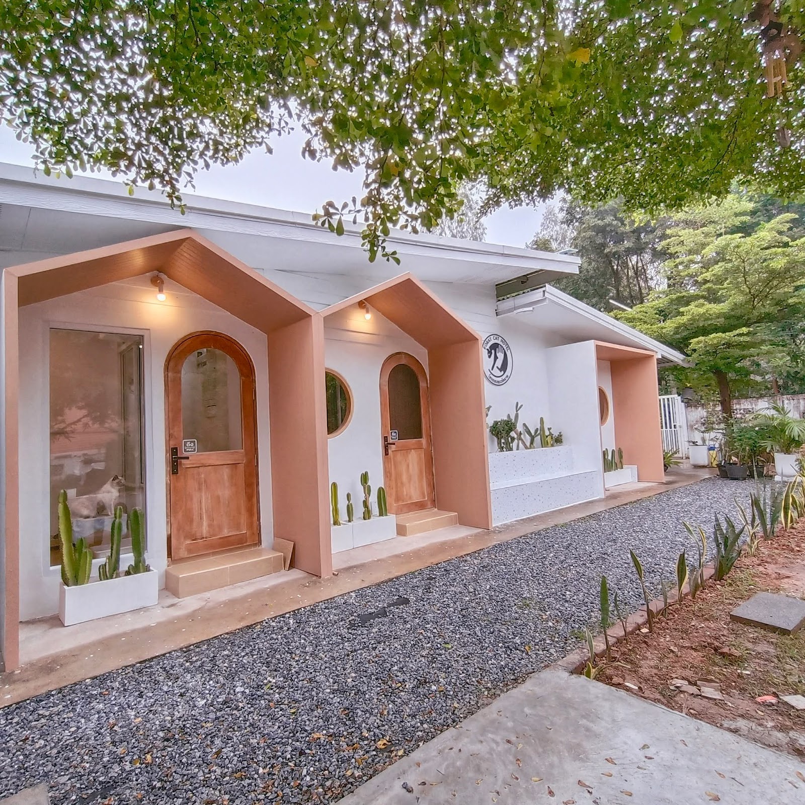 Korat Cat Hotel