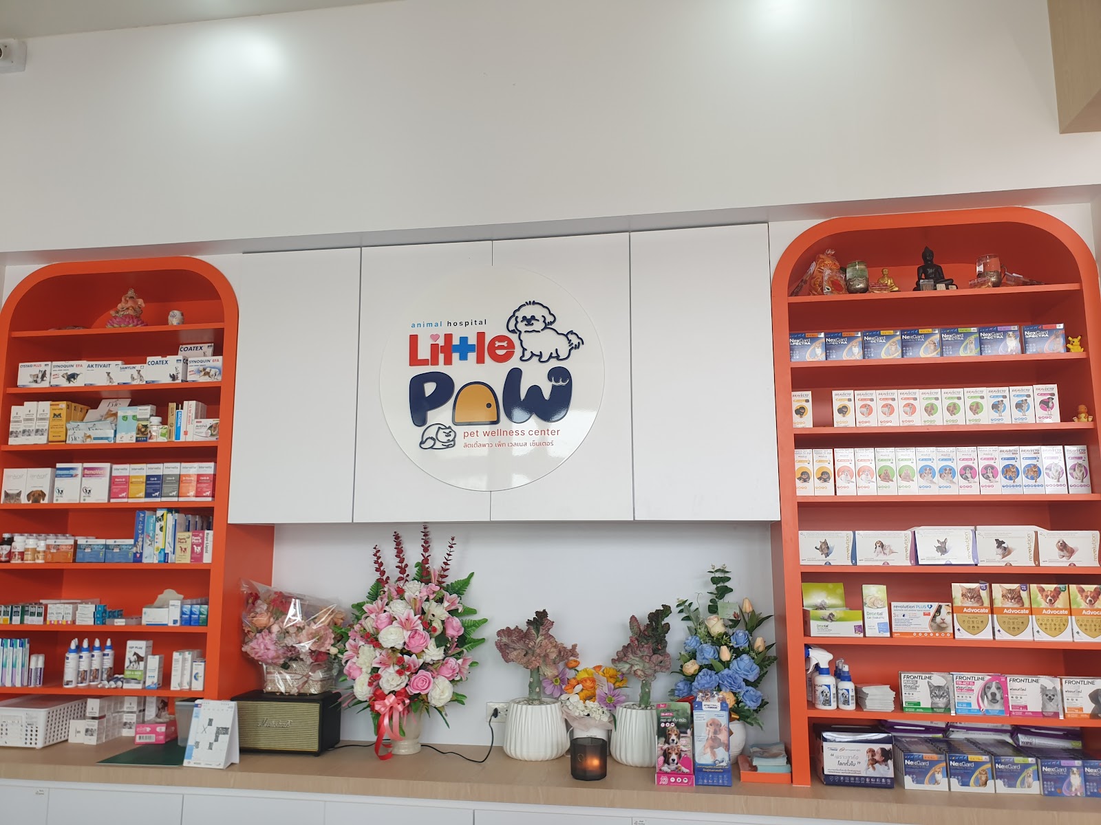 Little Paw Pet Wellness Center & Hospital