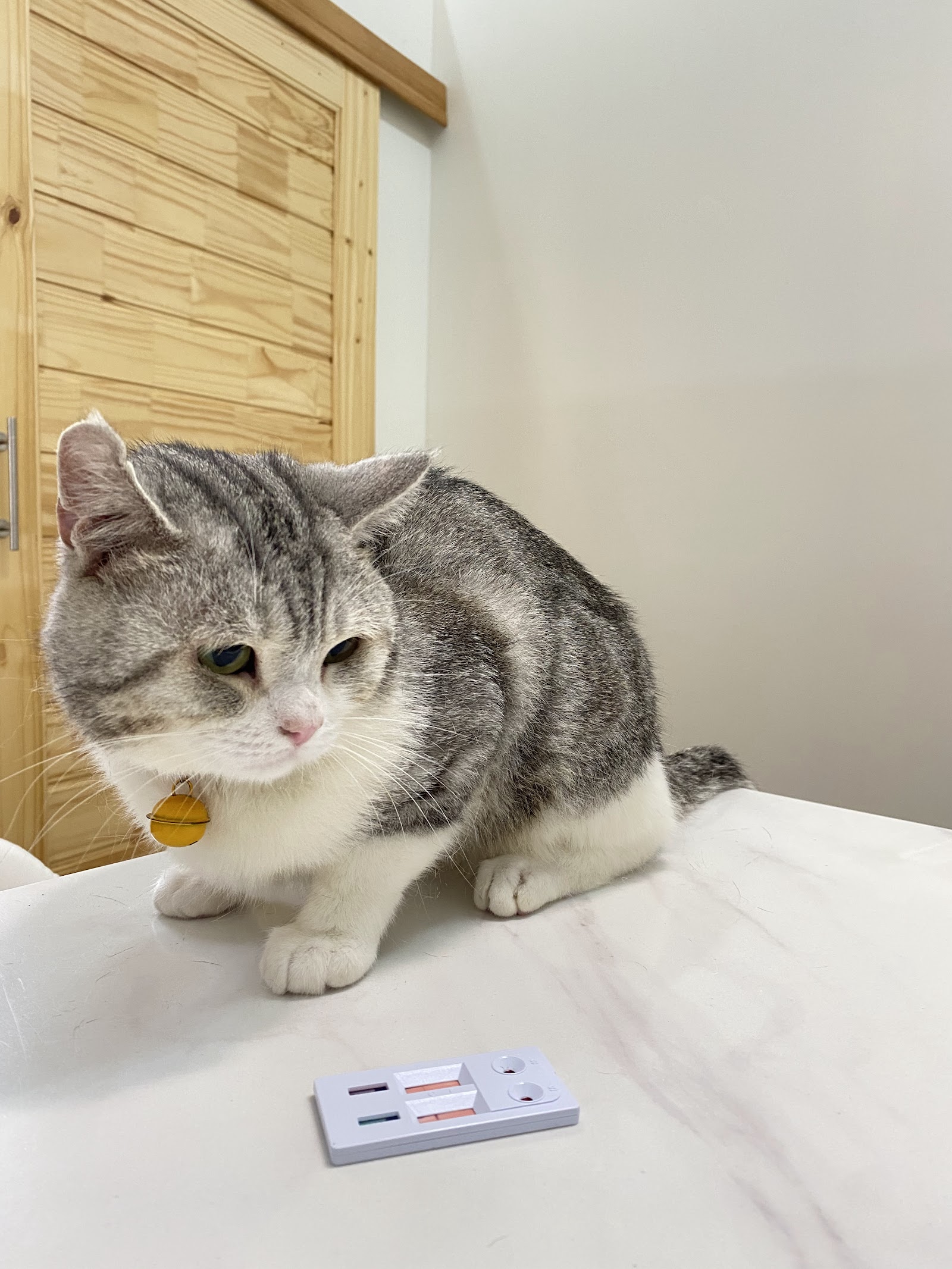 Oken pet clinic