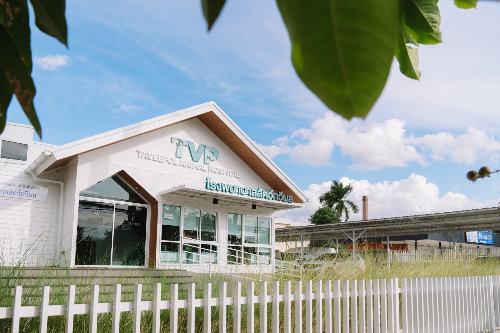 Taveepol Animal Hospital - TVP Animal Hospital