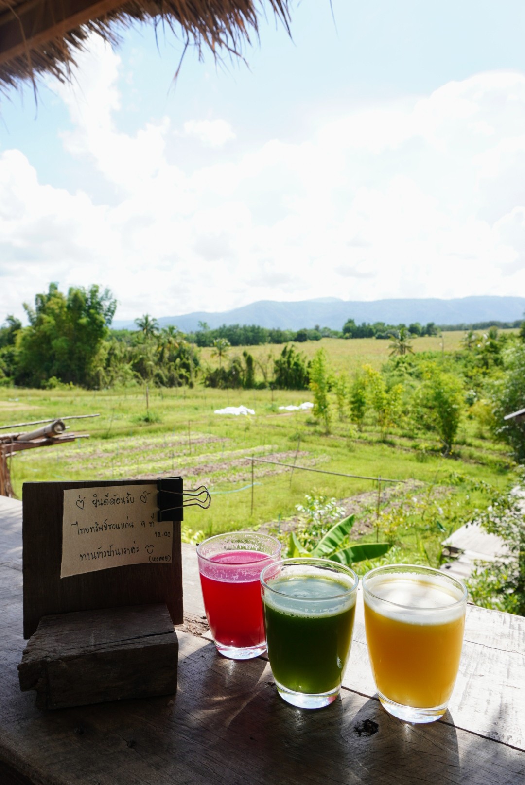 Tawe Organic Farm & Cafe