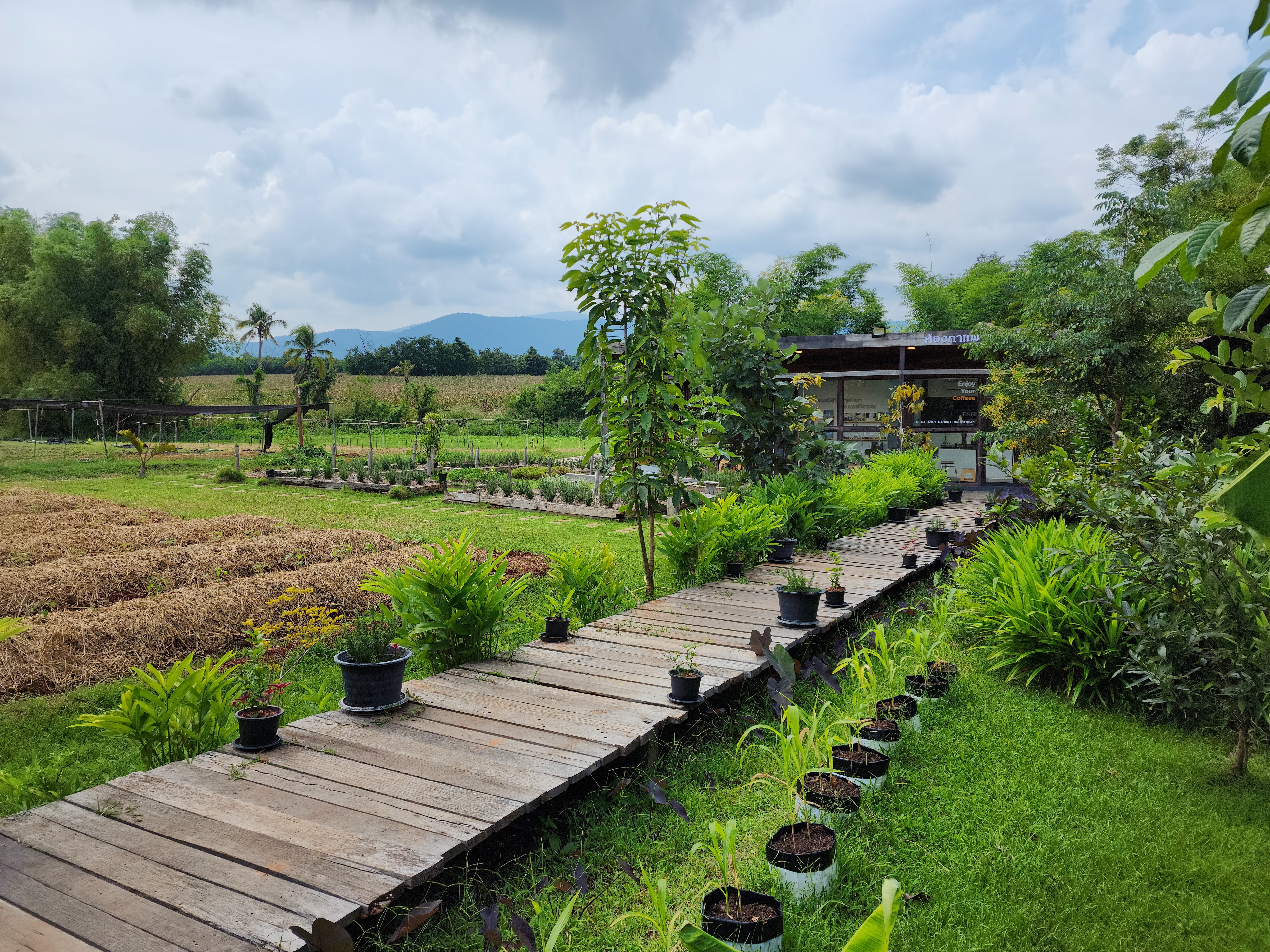Tawe Organic Farm & Cafe