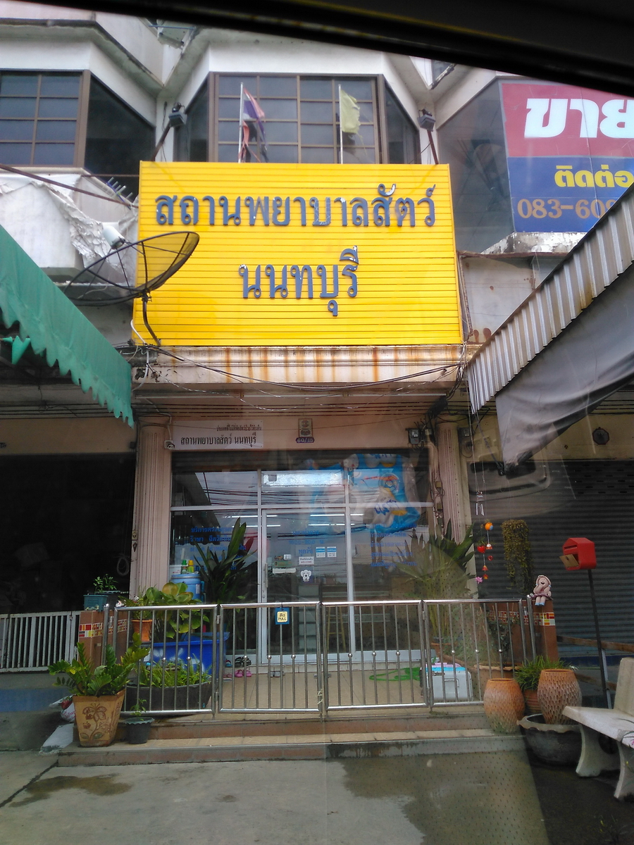 Petdi Animal Hospital