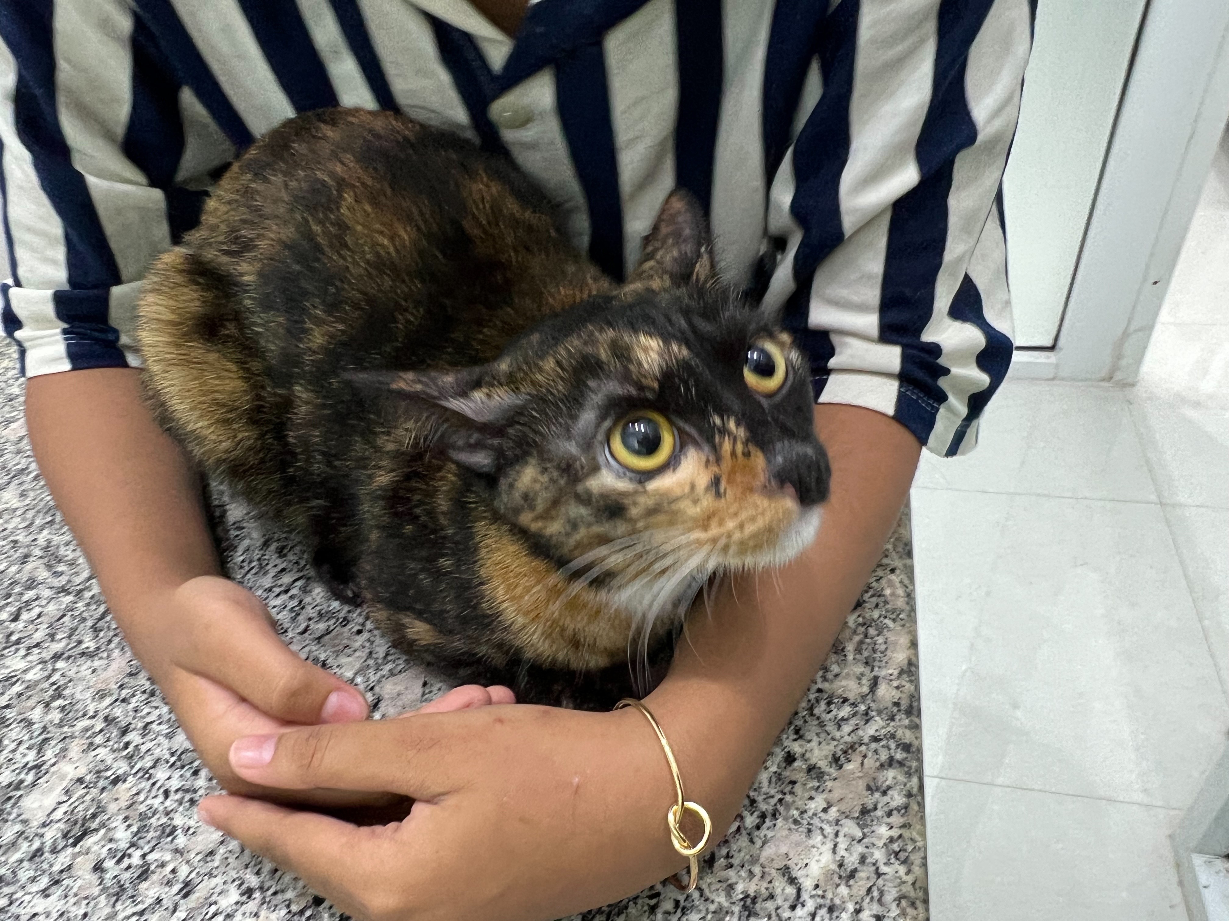 Determined to protect animals