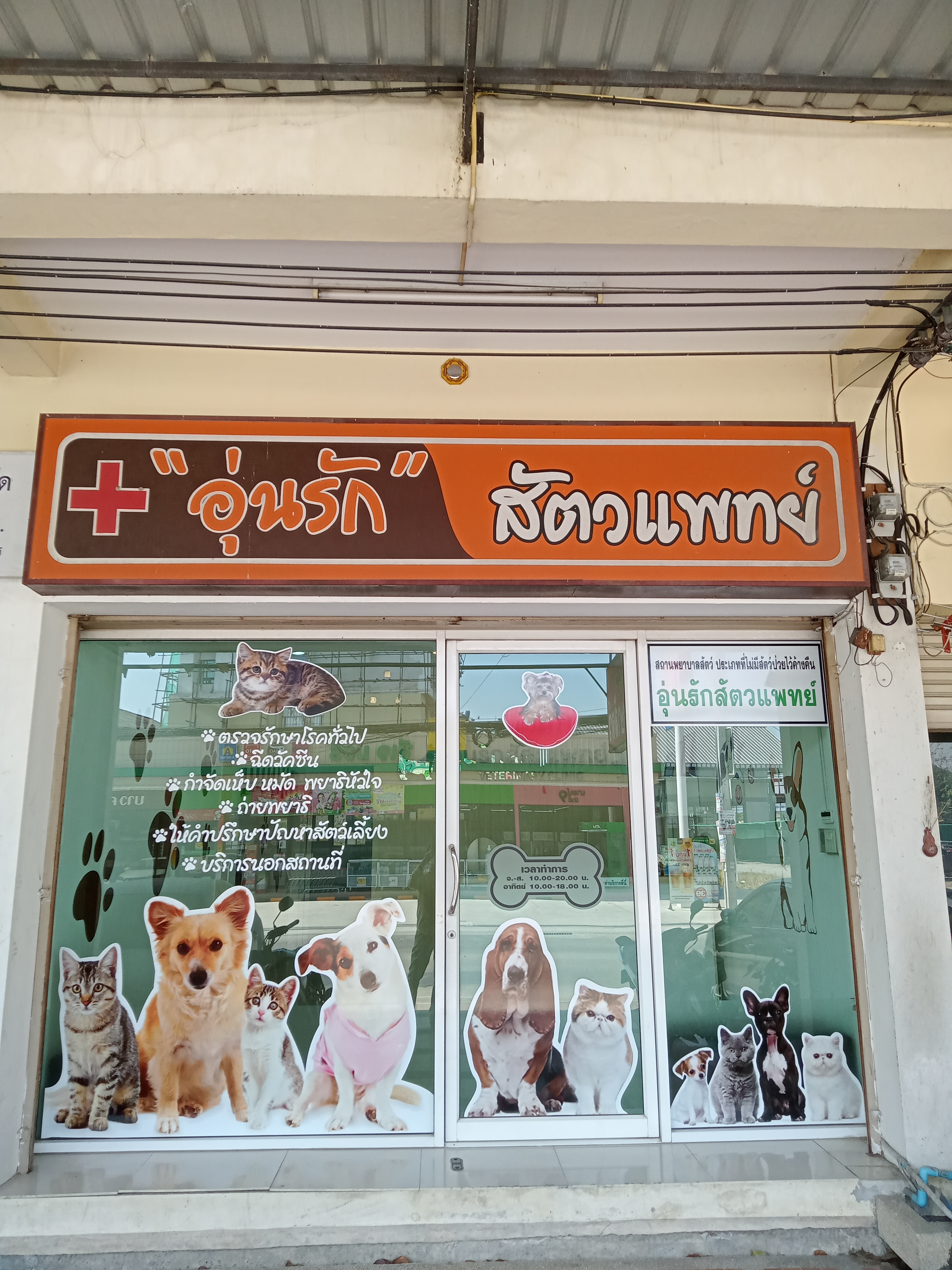 Warm love veterinarian