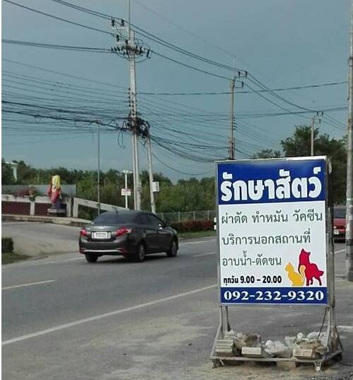Pet Protection Clinic