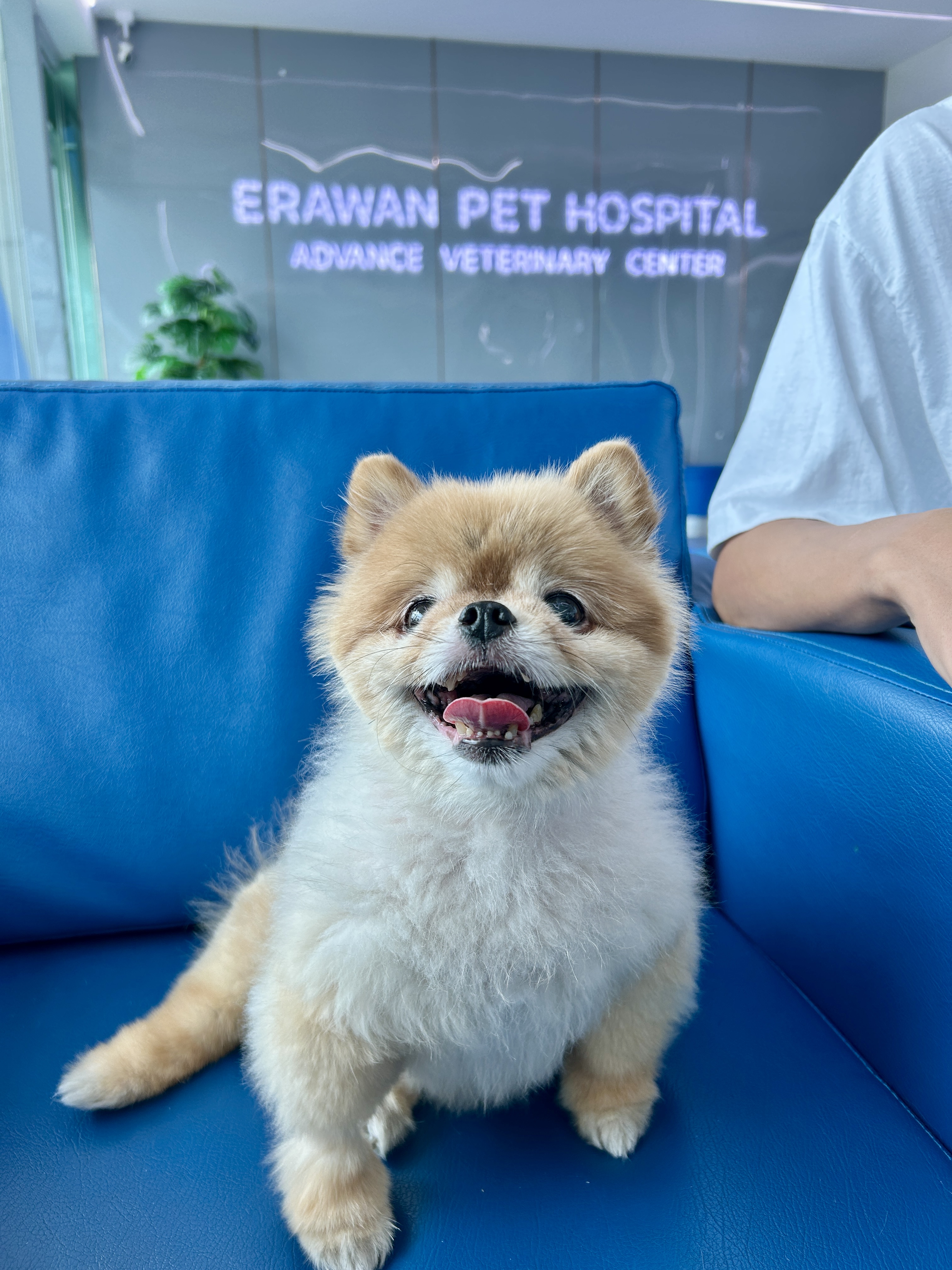 Erawan Animal Hospital Tiwanon Center