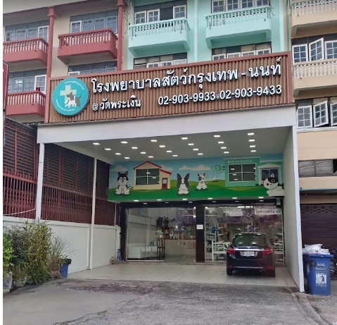 Bangkok-Non Animal Hospital Wat Phra Ngen Branch