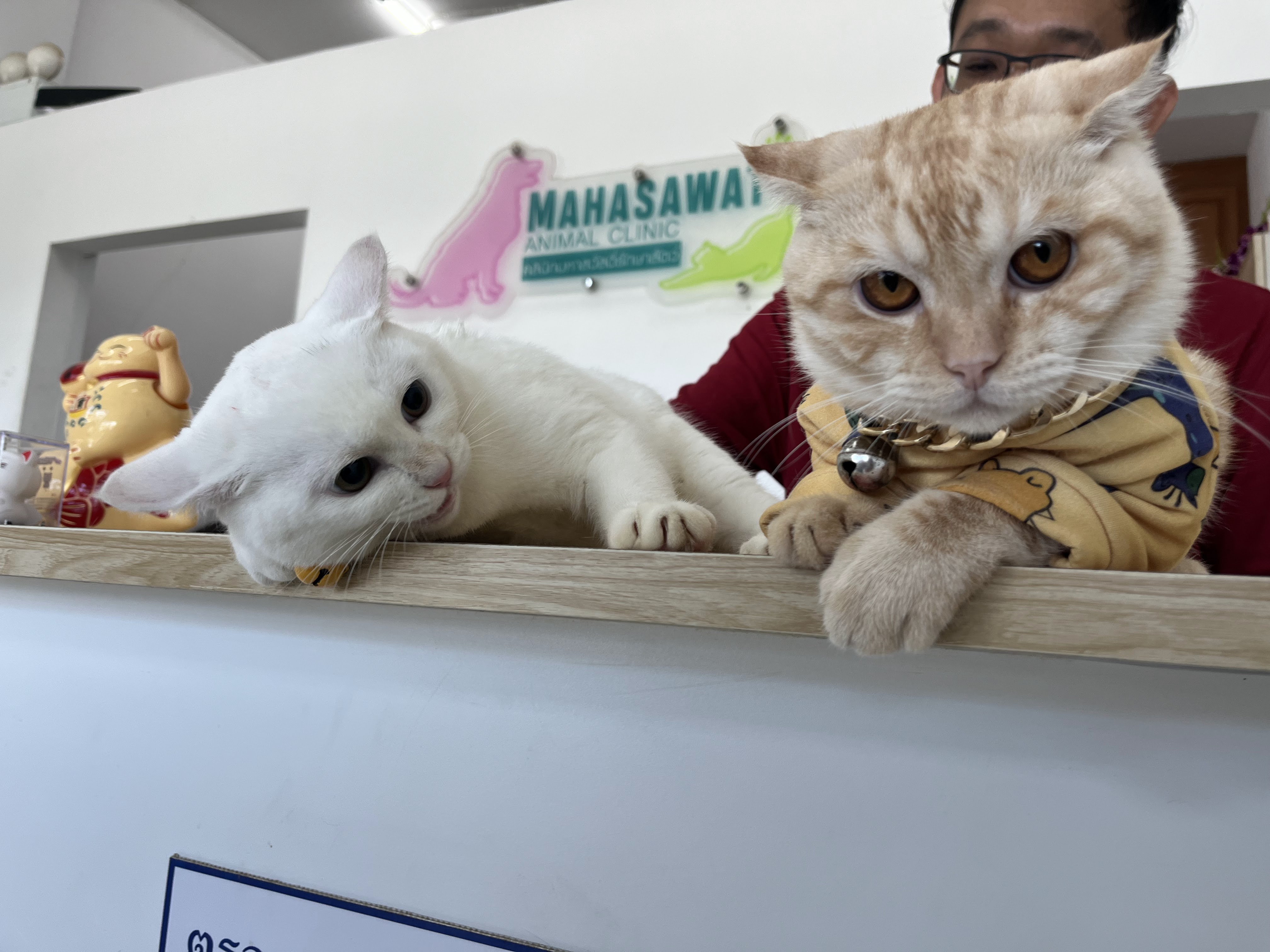 Mahasawat Clinic