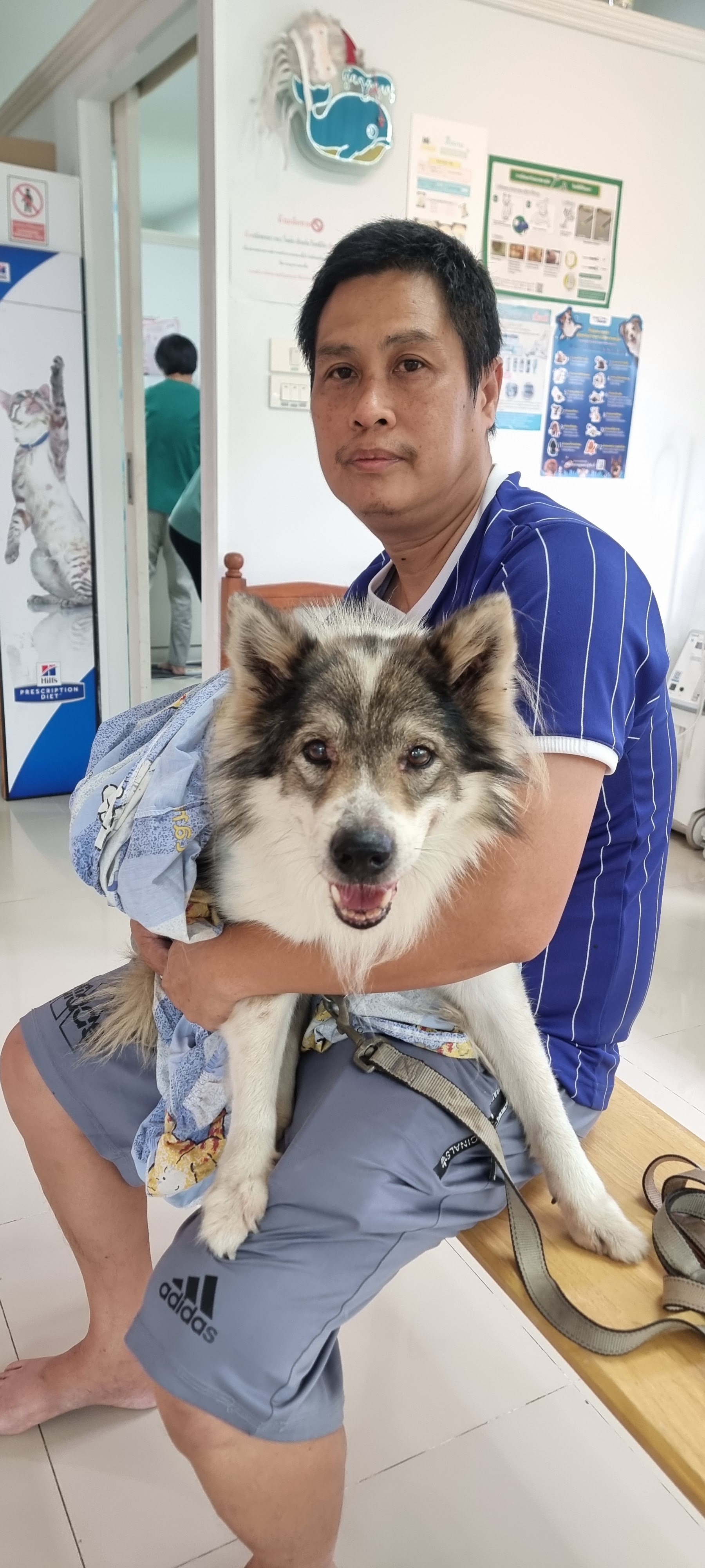 Doctor's house (animal treatment) Sai Noi