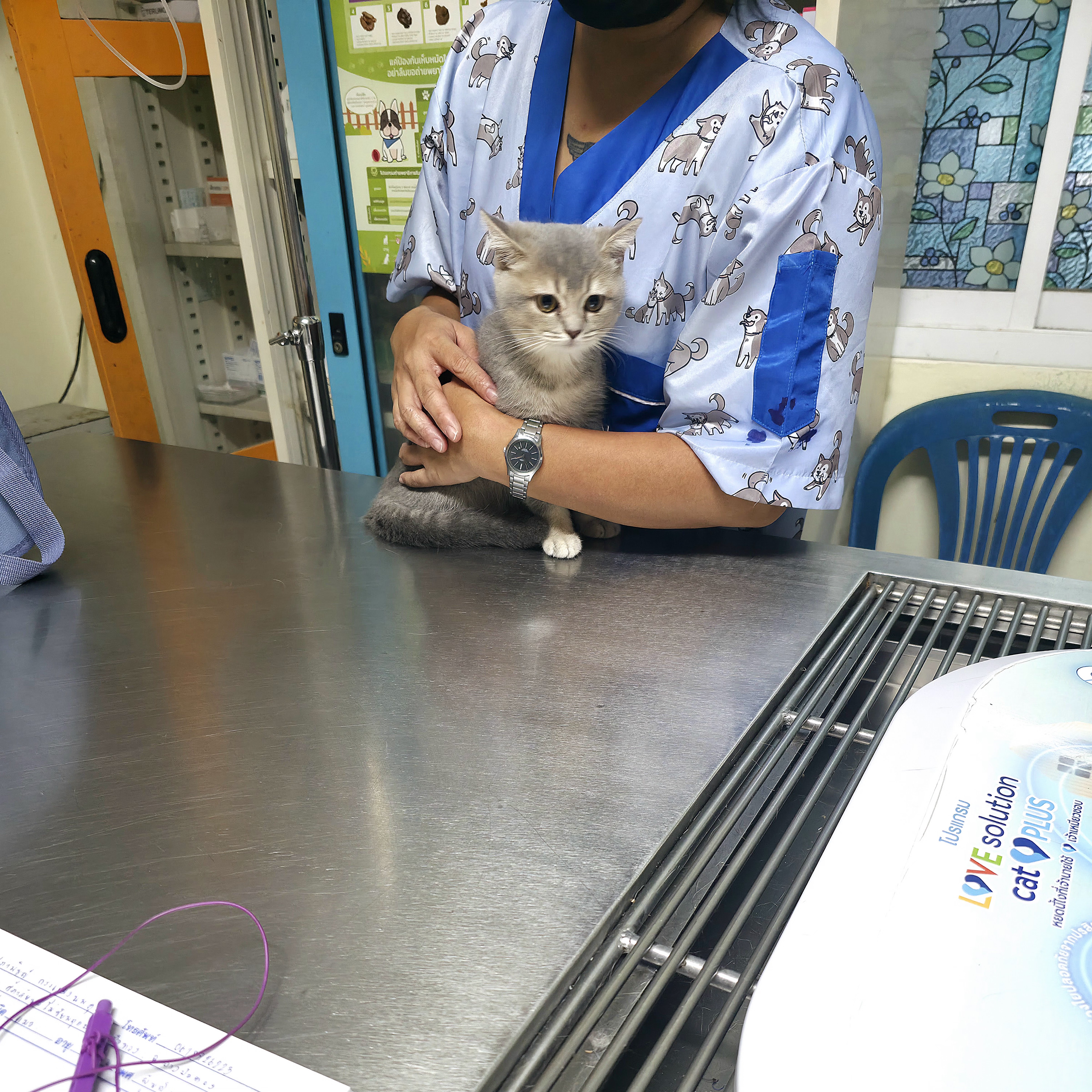 Bang Bua Thong Veterinarian