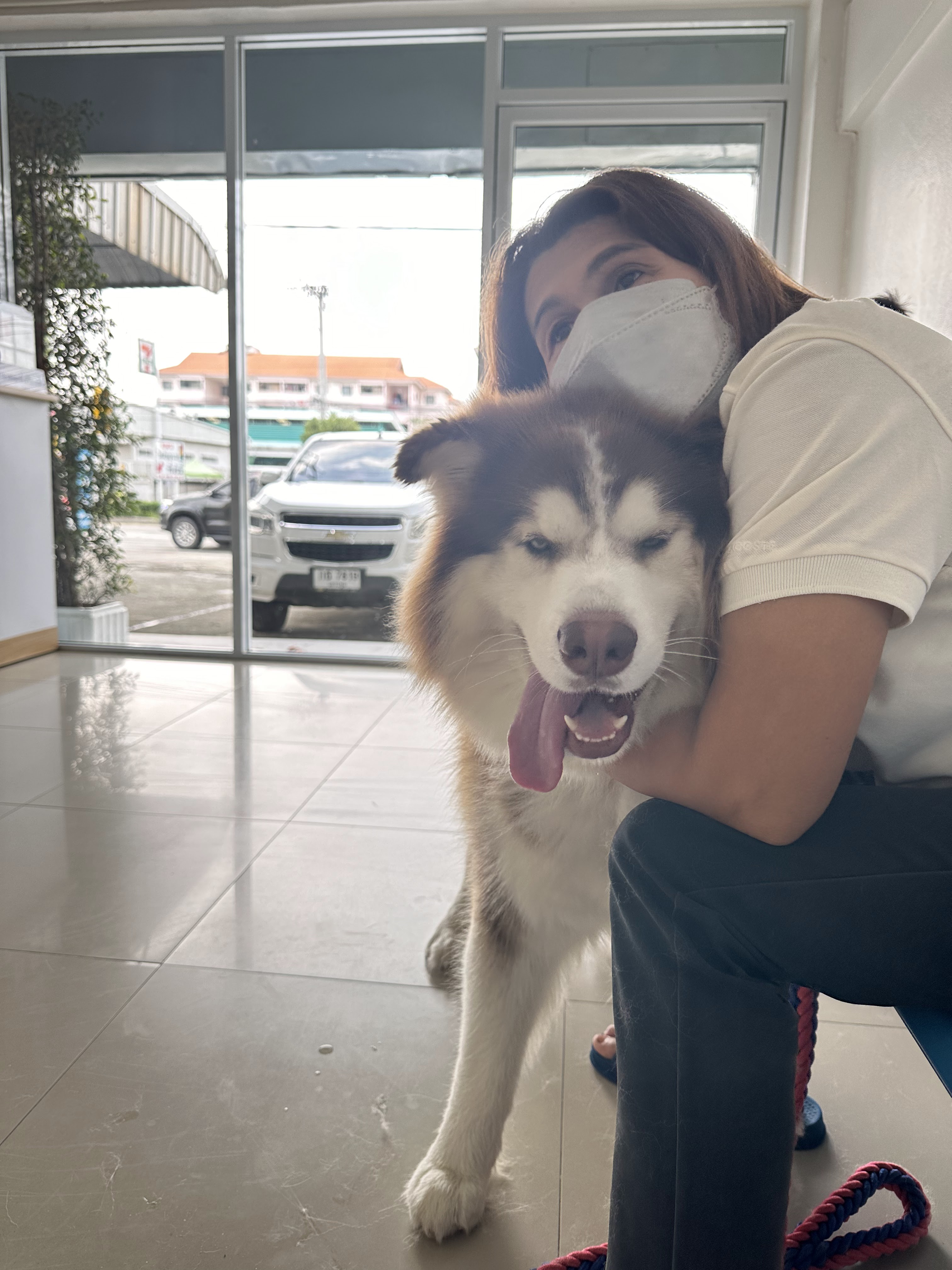 Mitrthiwet Animal Hospital