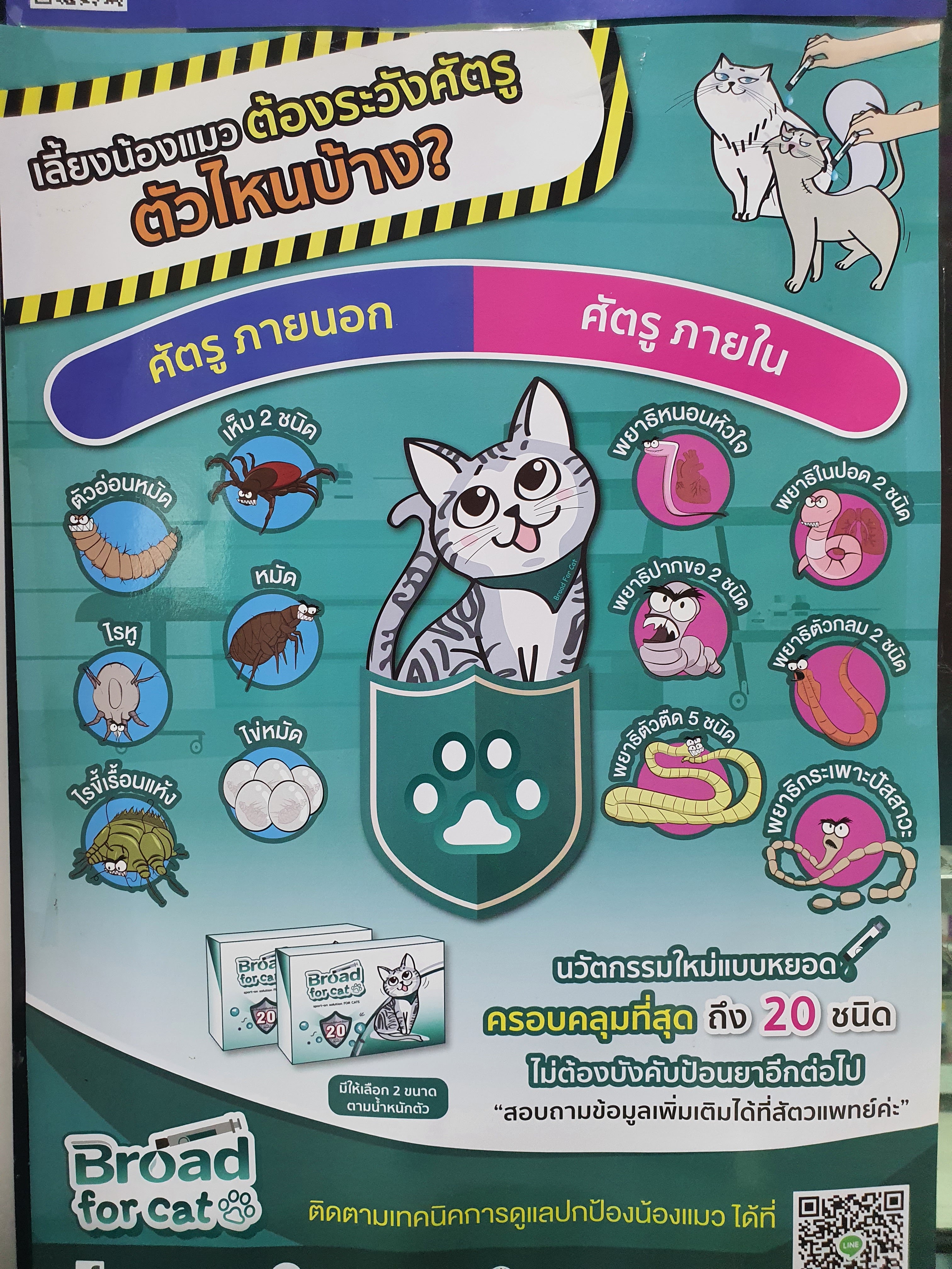 Animal Hospital, Doctor Jai Dee House