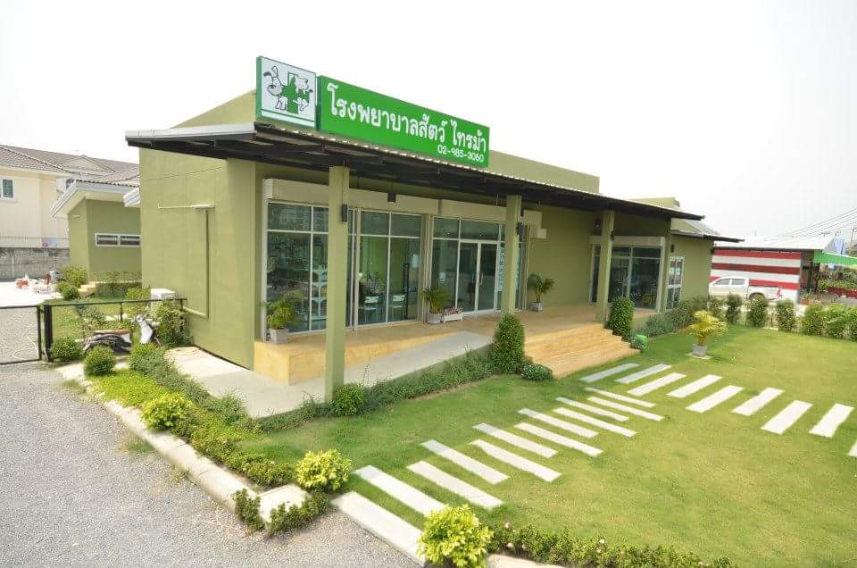 Animal Hospital Saima