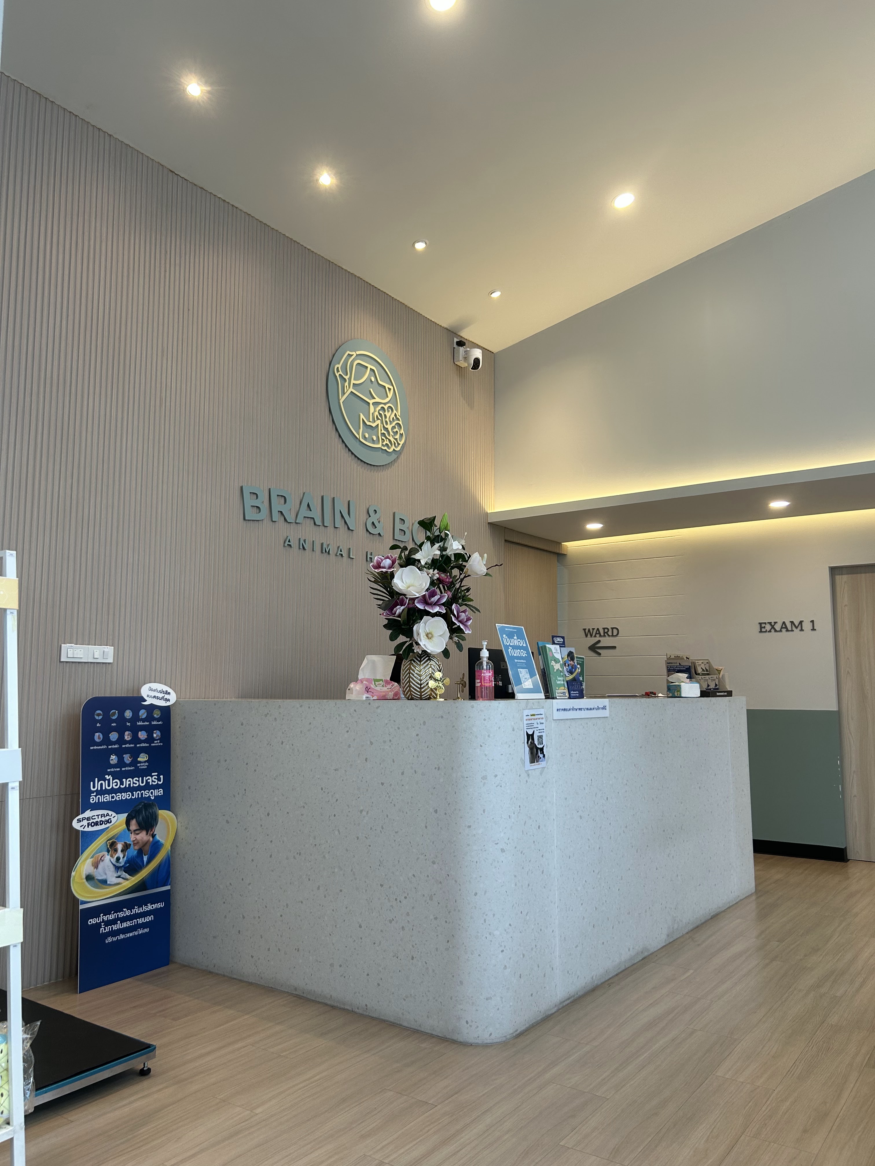 Brain and Bone Animal Hospital
