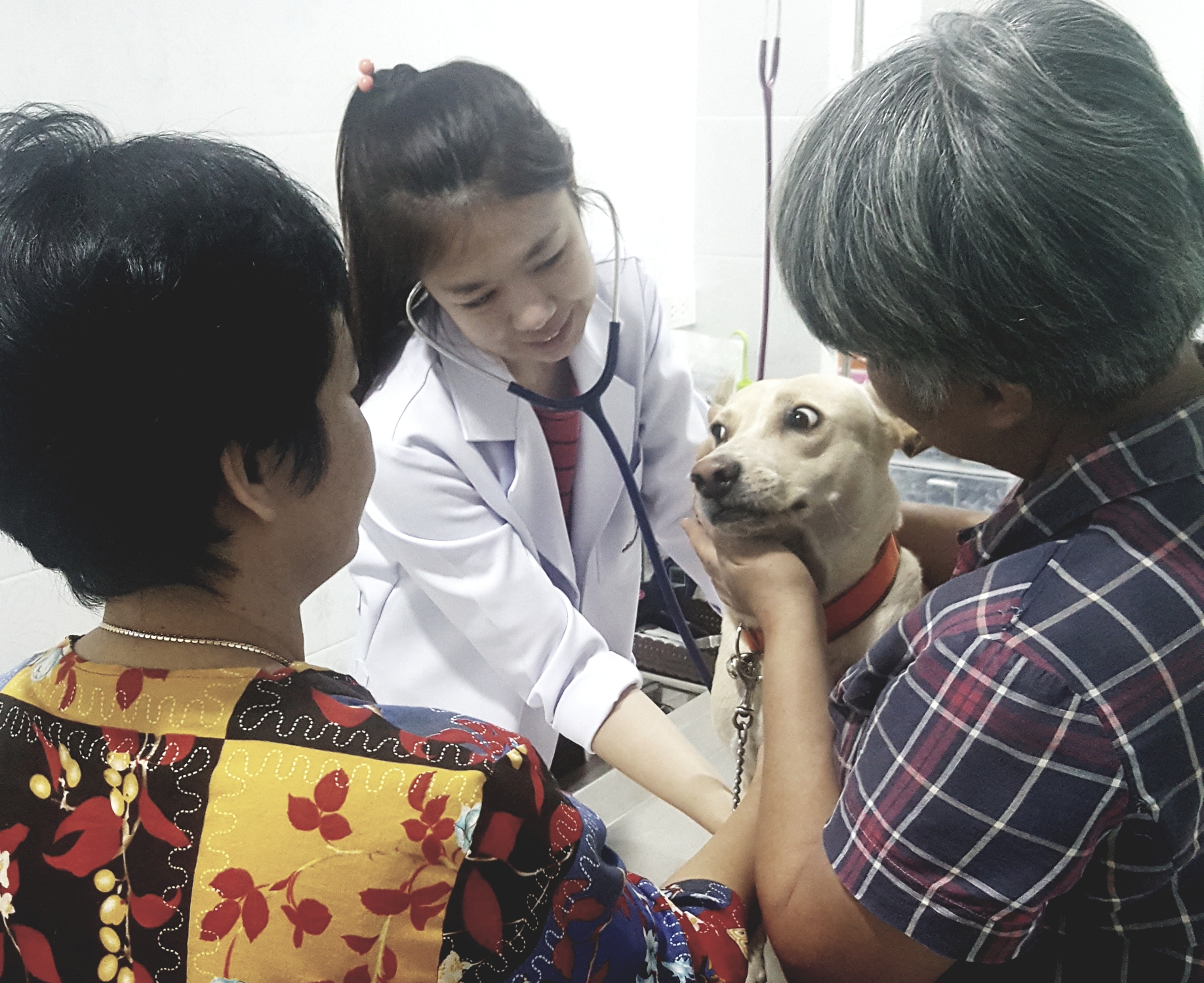 Dr. Nuch Pet Clinic