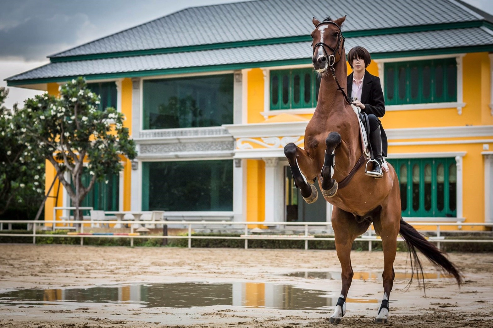 HOKOMO Equestrian Club