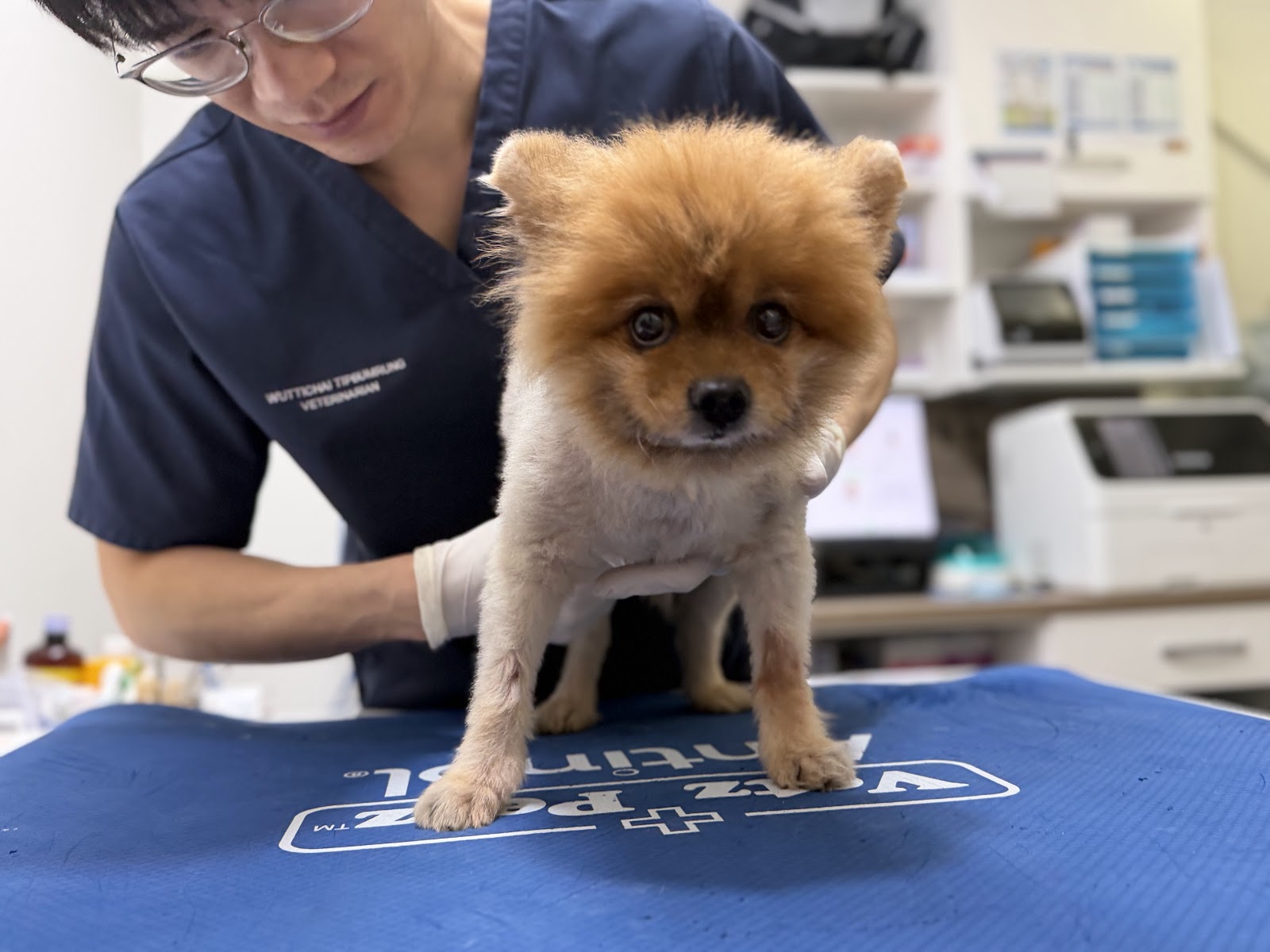 I ChudJen Animal Hospital