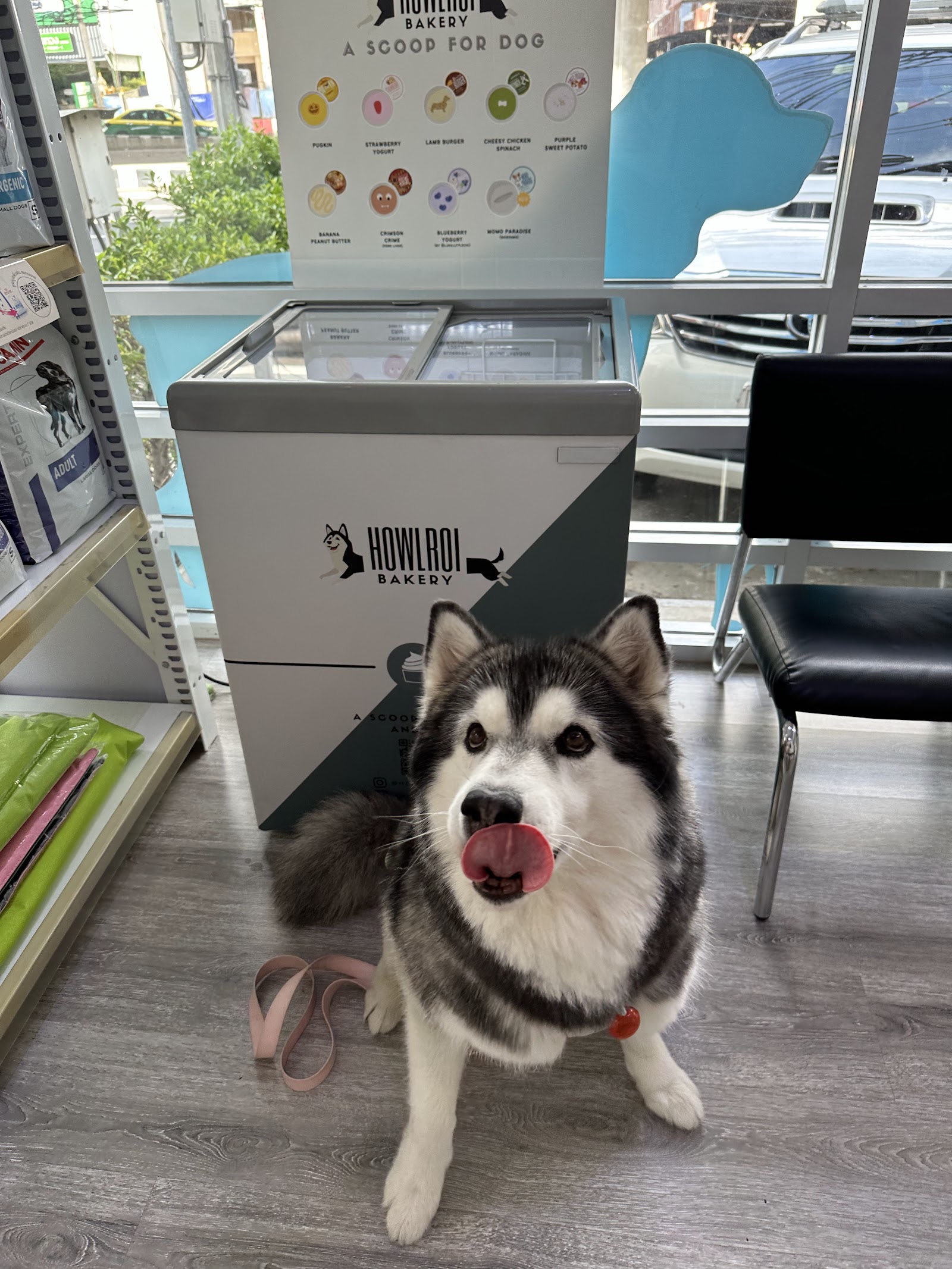 MJ Pet Hospital