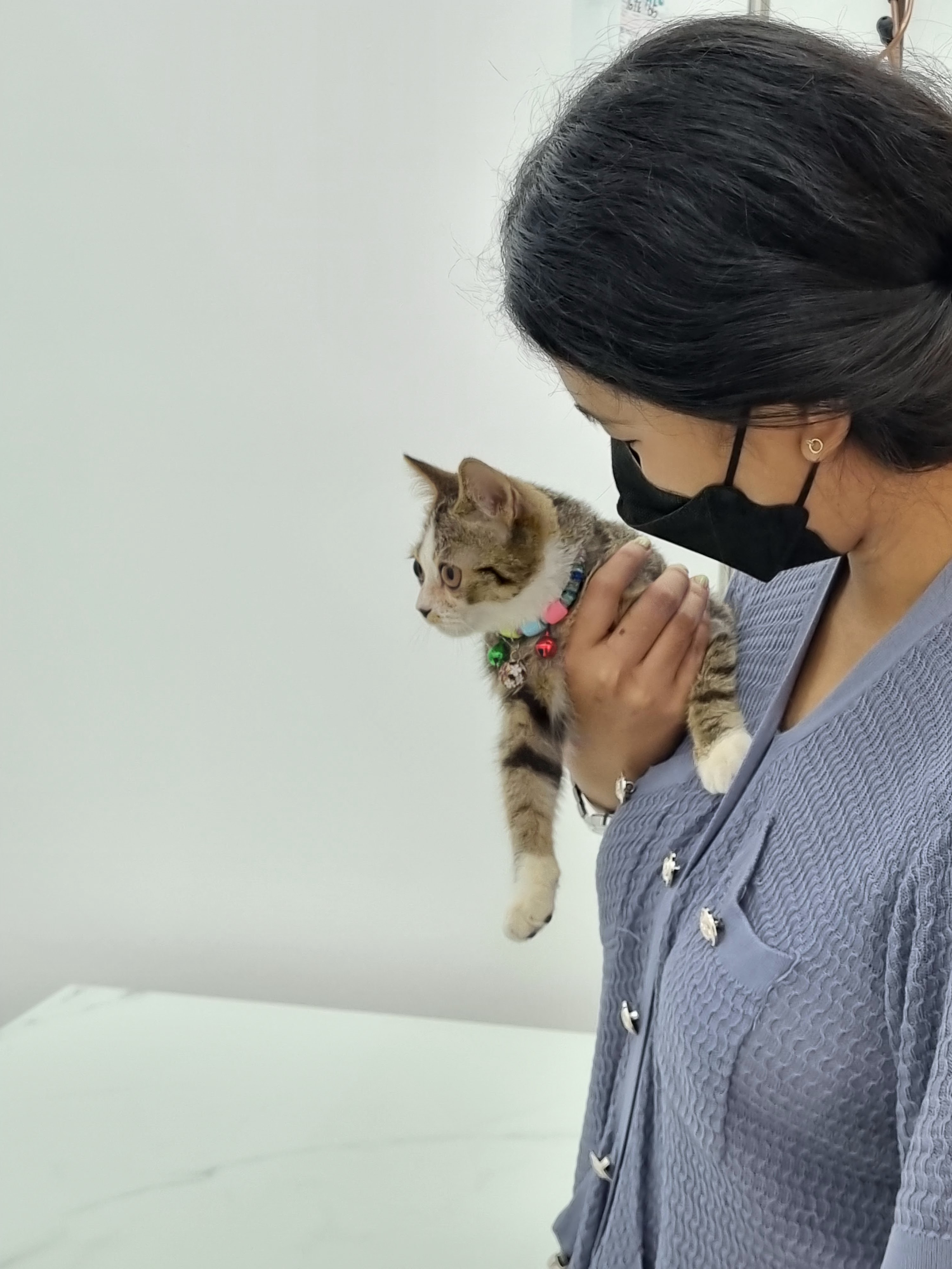 MOYA Pet Care) 2