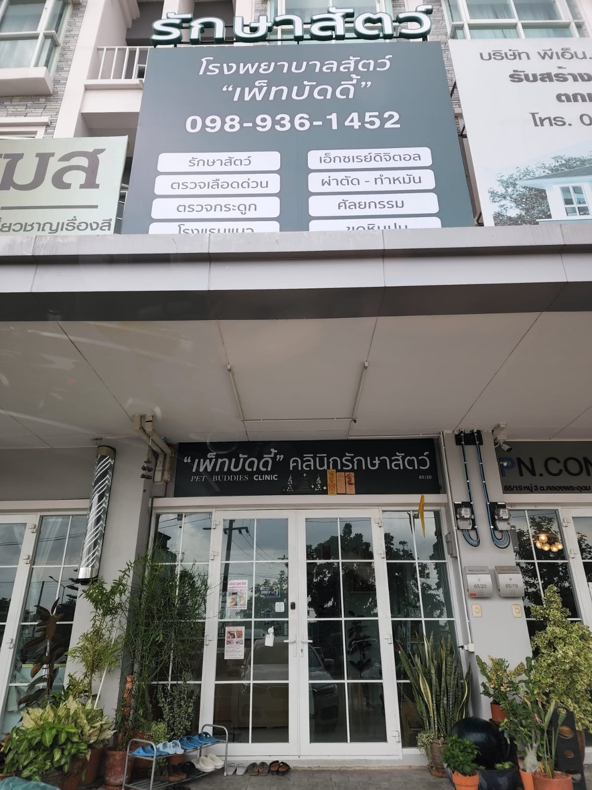 Pet Buddies Animal Hospital and Wellness