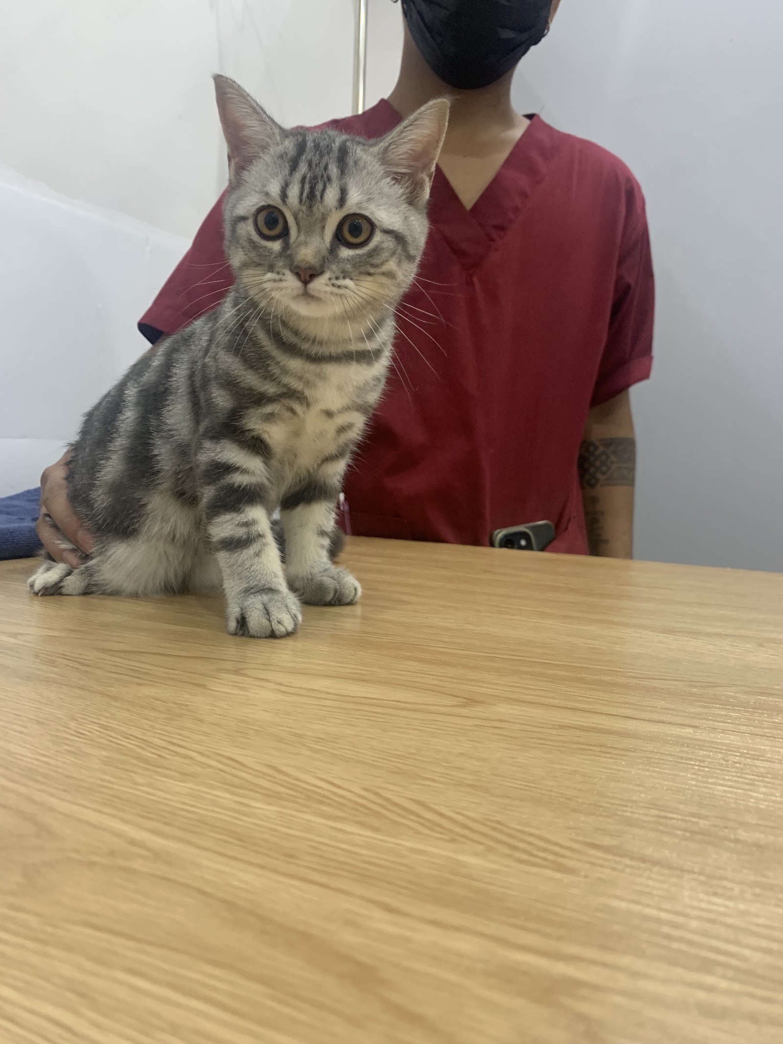 Pet Diary animal hospital