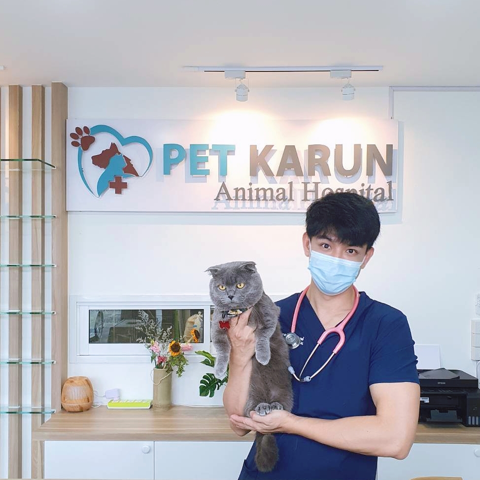 Pet Karun