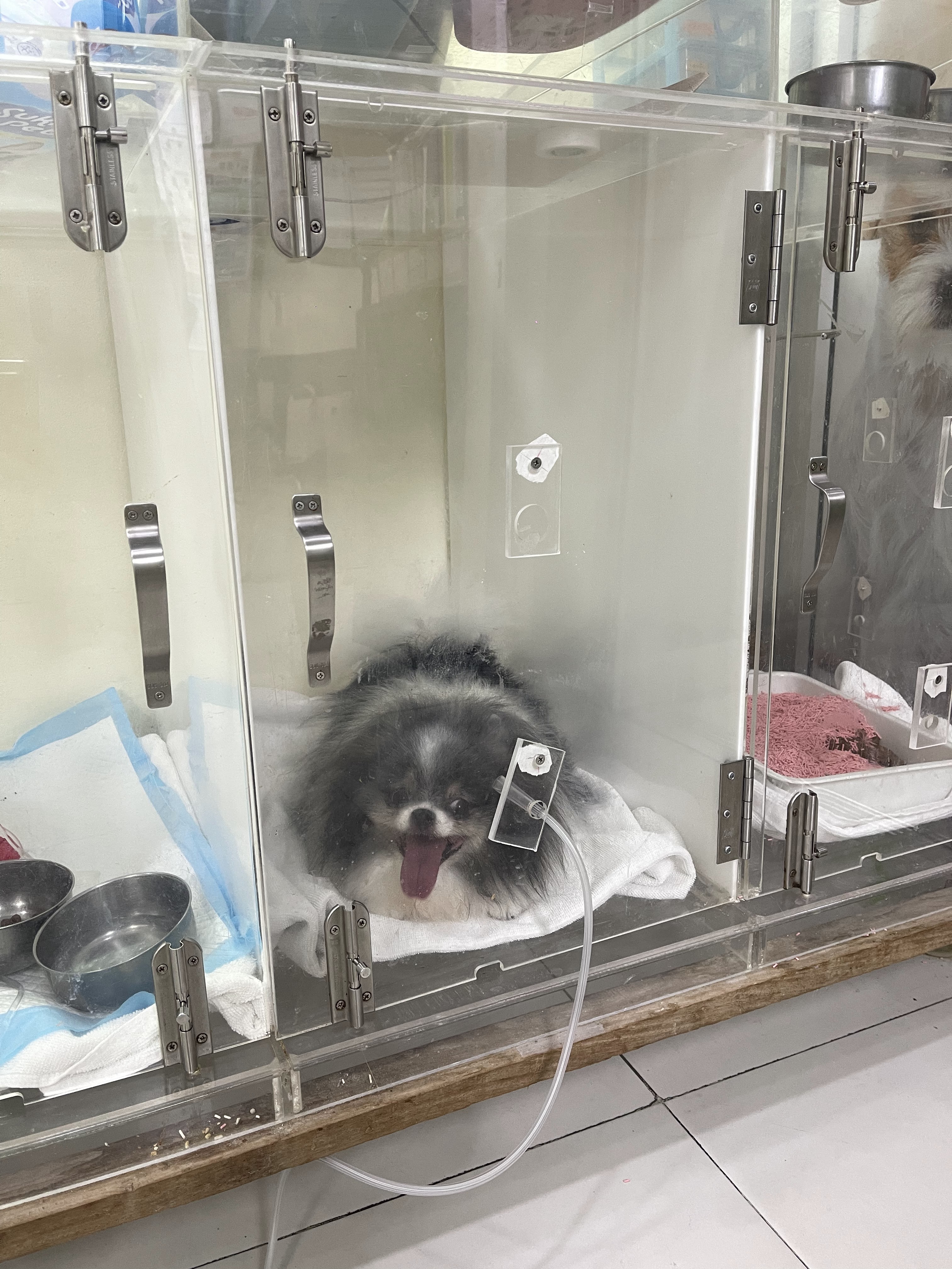 RTB Referral Animal Hospital
