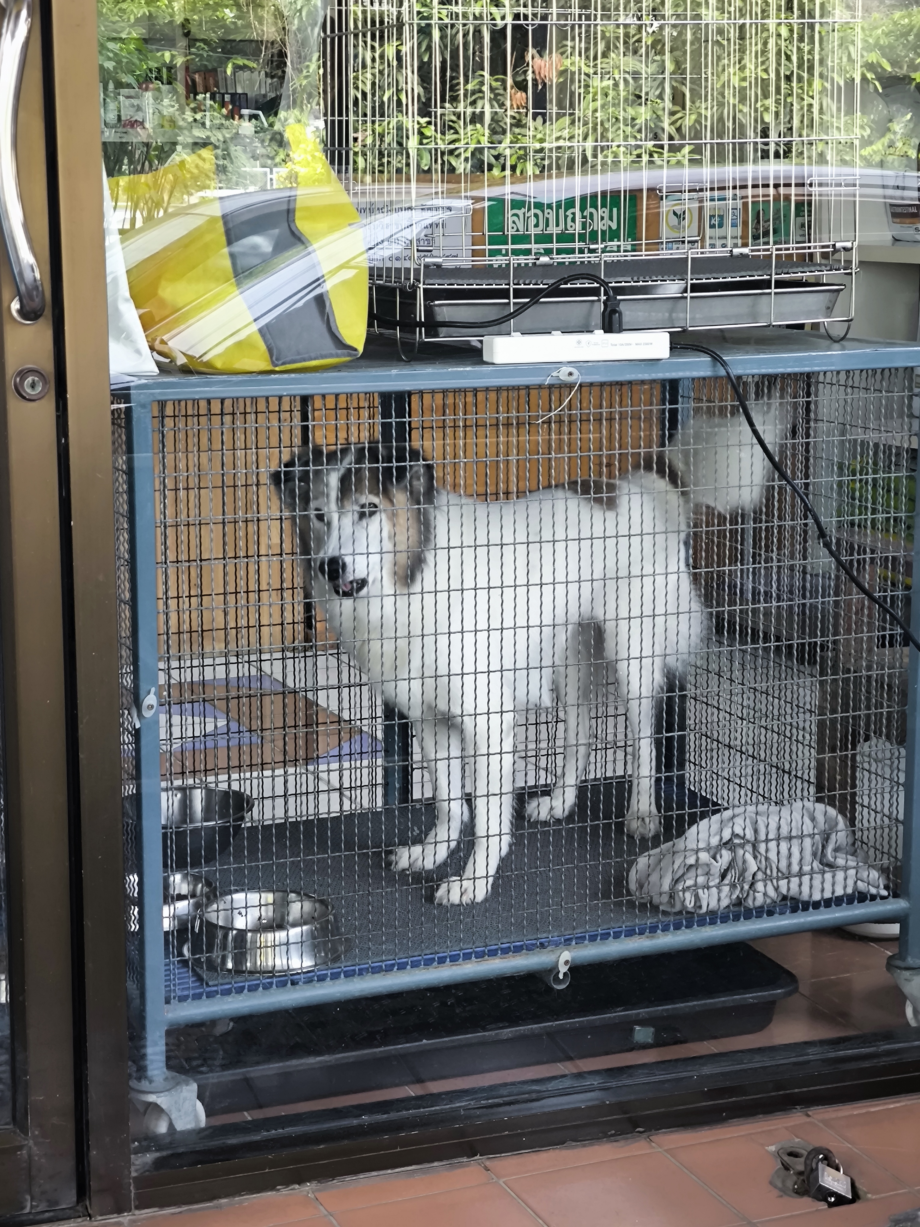 Sakorn Veterinary Clinic