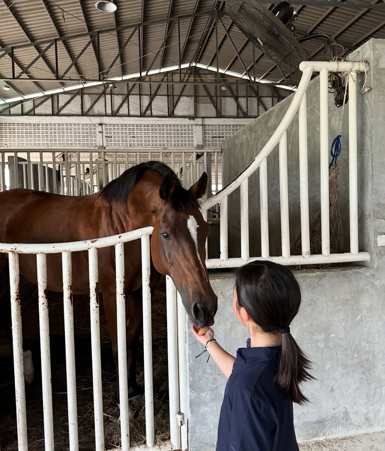 SC Equestrian Club