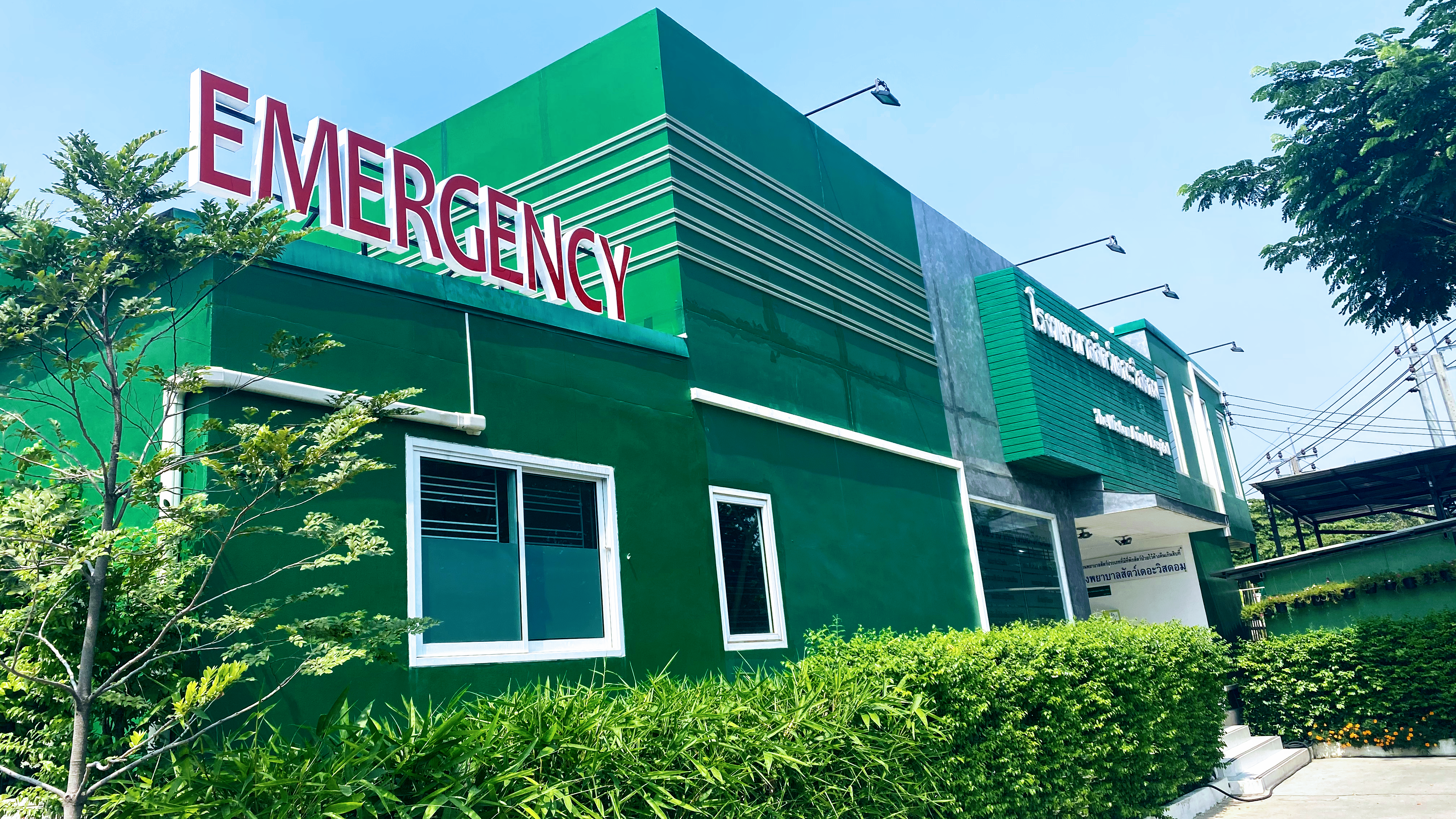 The Wisdom Animal Hospital
