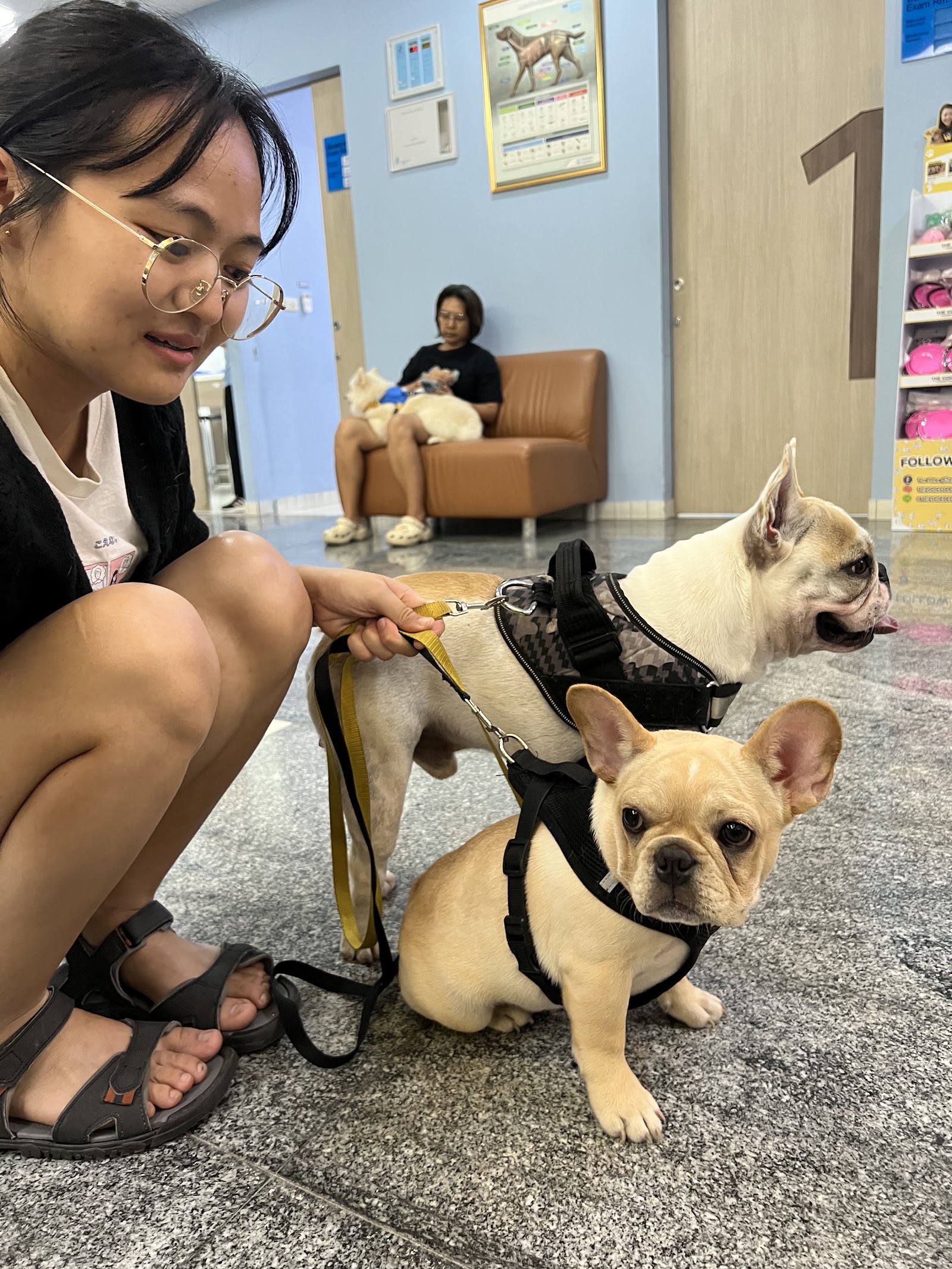 Thonglor Pet Hospital Tiwanon
