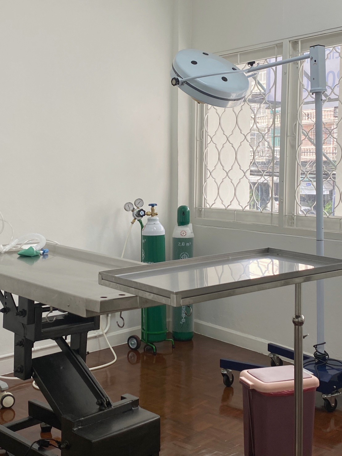 Vet Family clinic